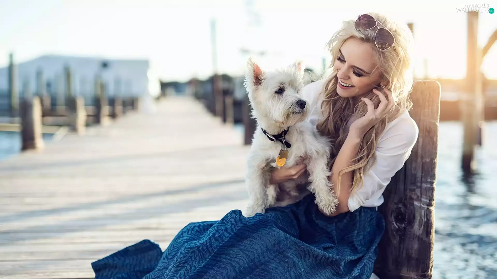 West Highland White Terrier, Women, Glasses