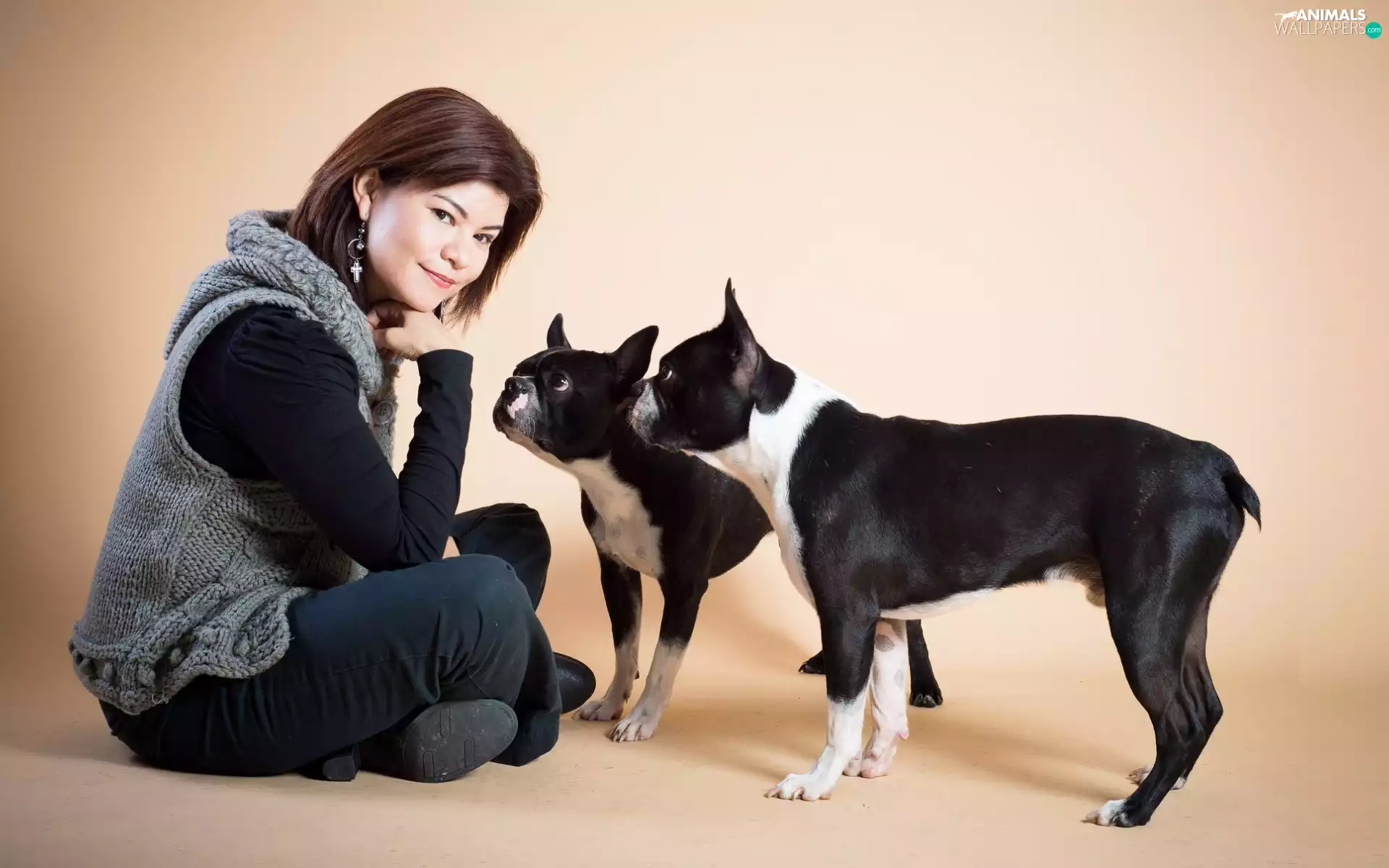 Boston Terriers, Women, Two cars