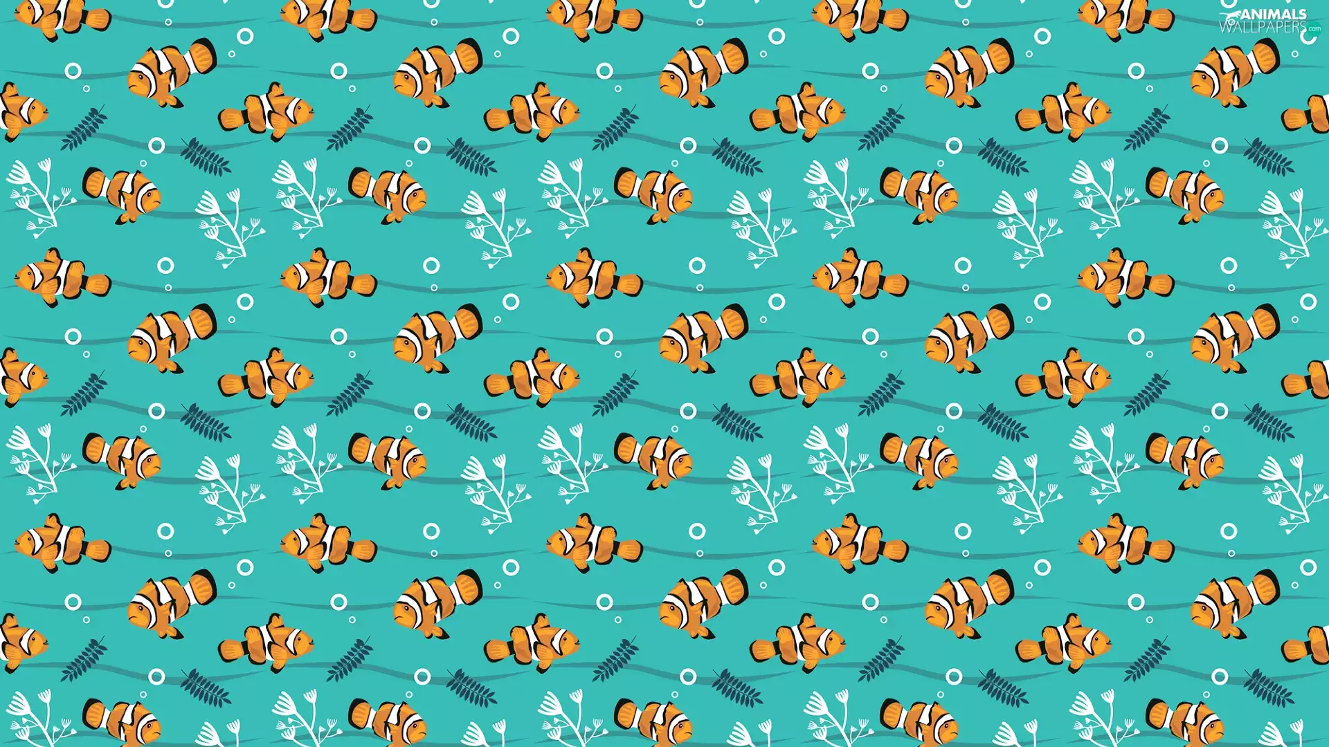 texture, fishes, clownfish