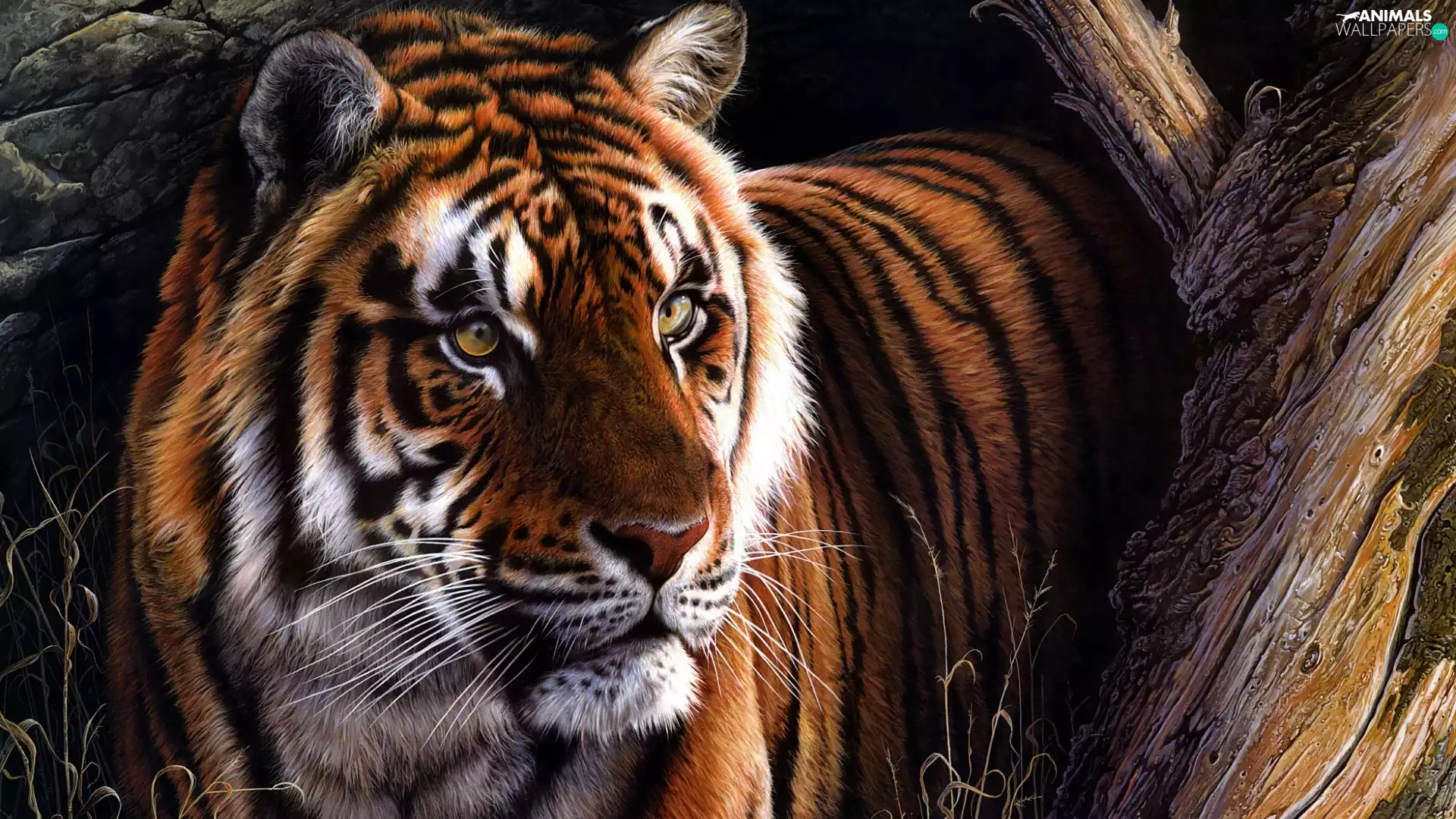 tiger, Lod on the beach, graphics, grass