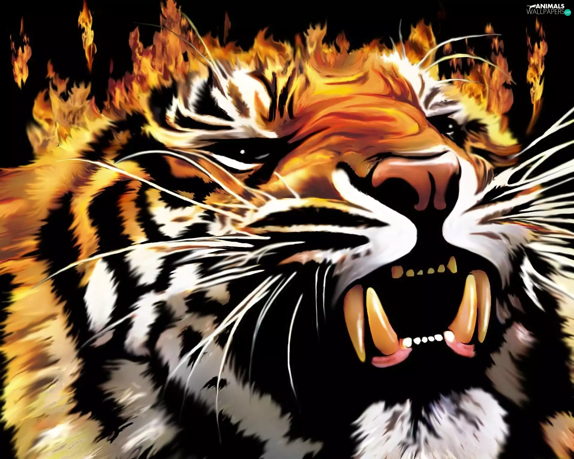 tiger, Big Fire
