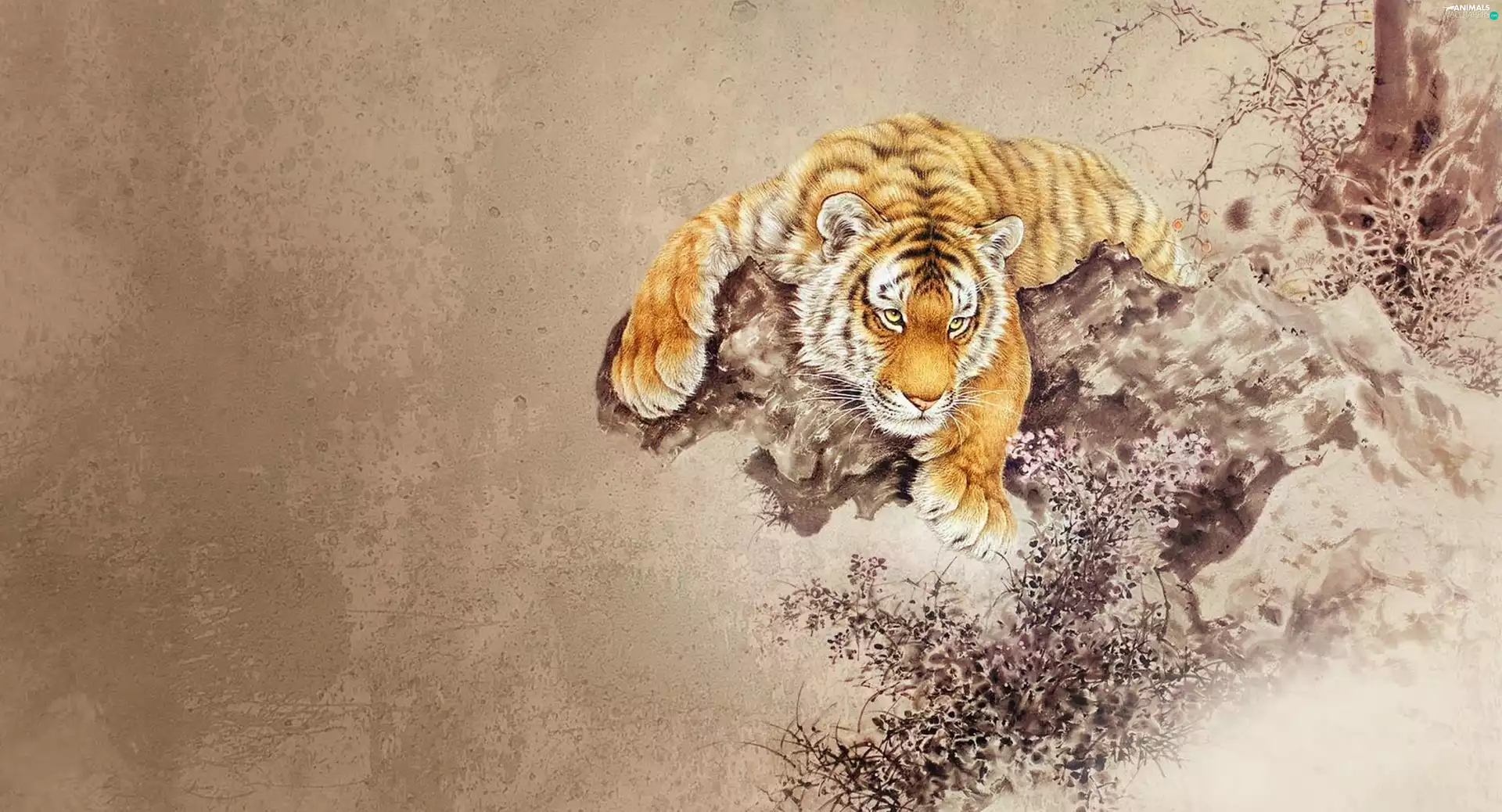 tiger, graphics