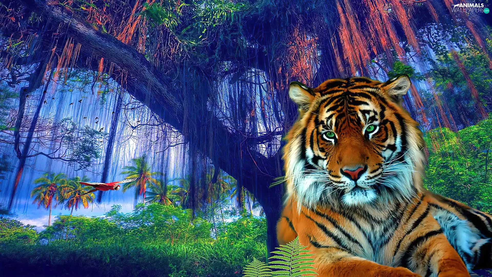 tiger, jungle