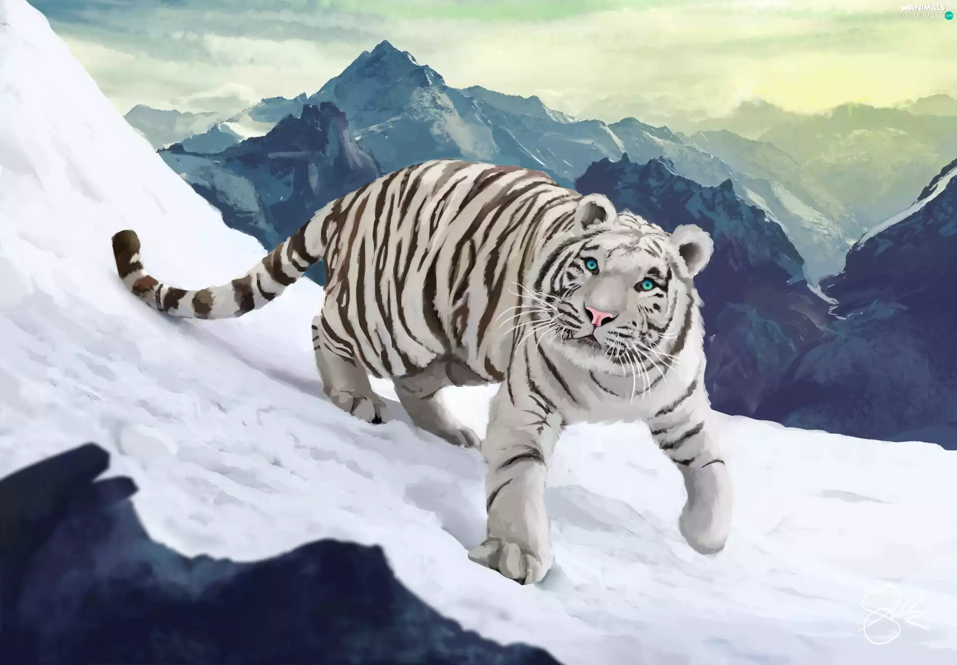 snow, Computer Graphics, tiger, Mountains, White