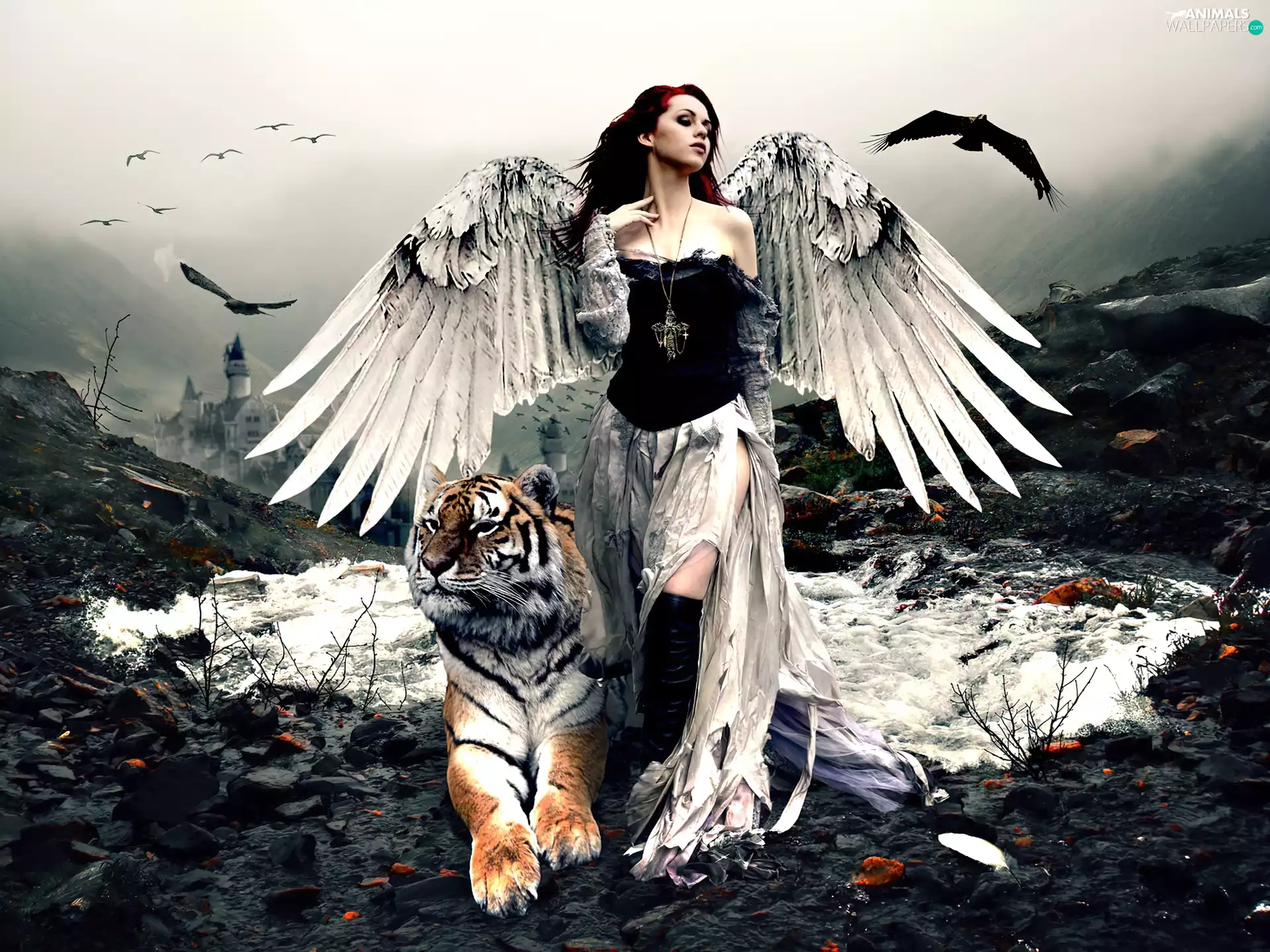 tiger, Women, wings
