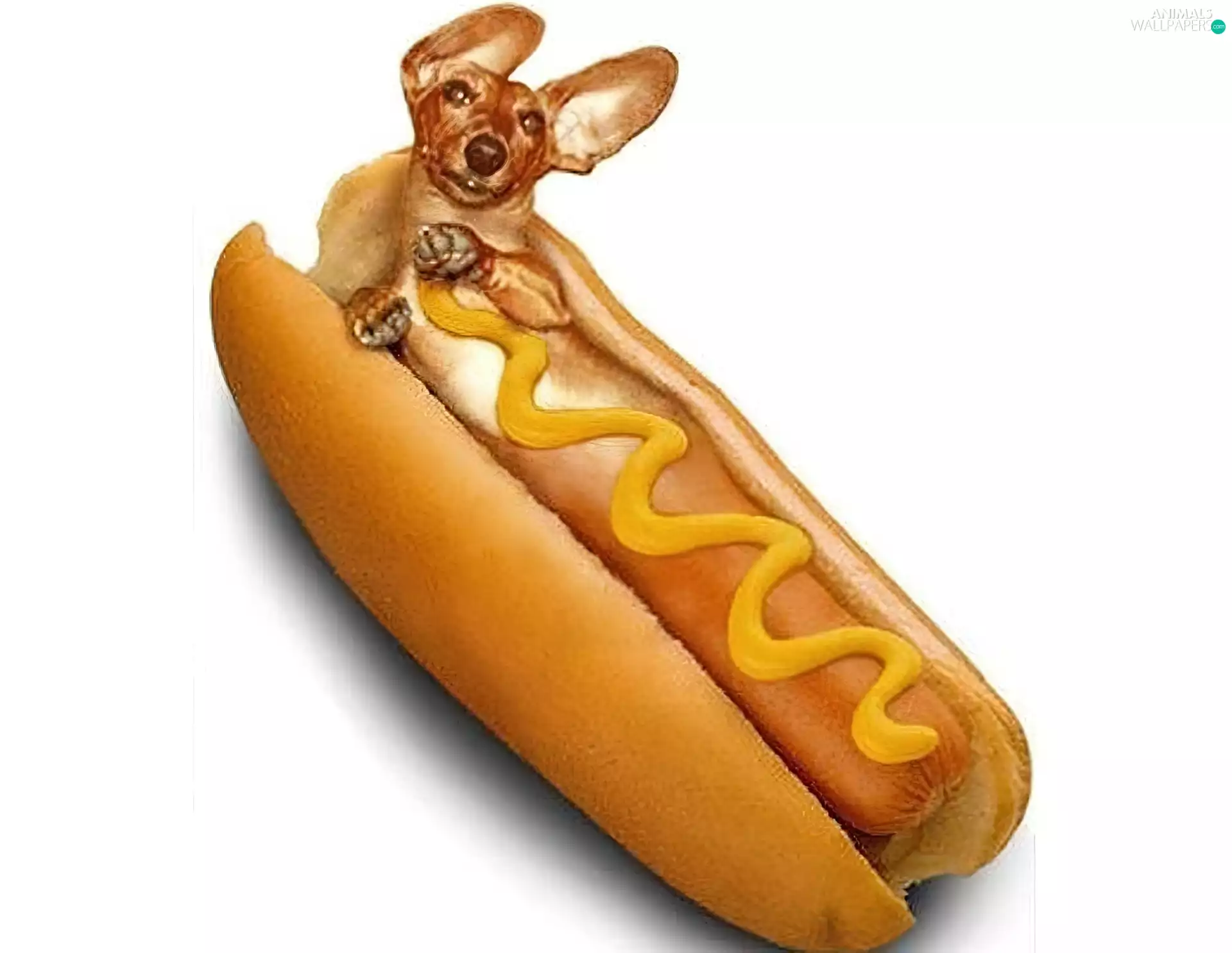 Dog, to the letter, hot