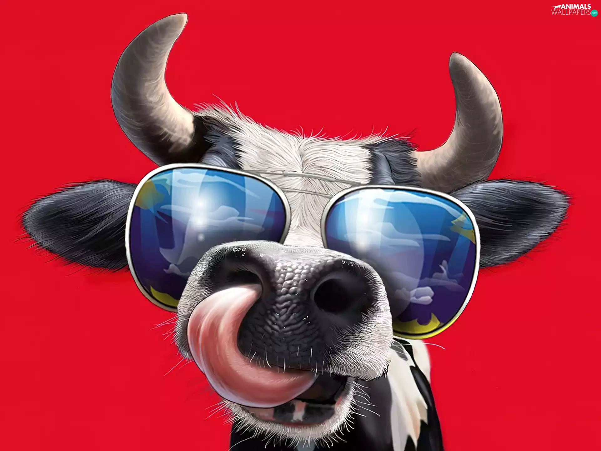 Cow, Glasses, horns, Tounge