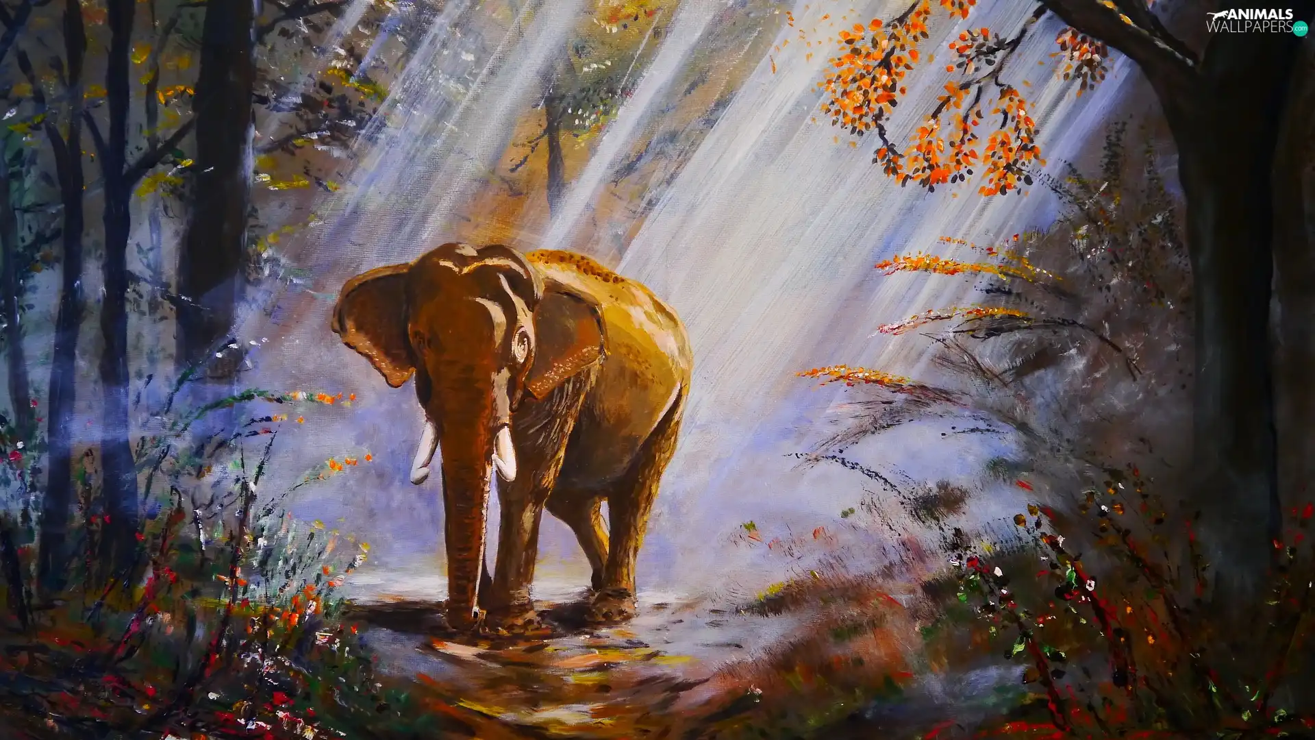 forest, painting, ligh, Way, flash, viewes, trees, Elephant, picture, luminosity, sun