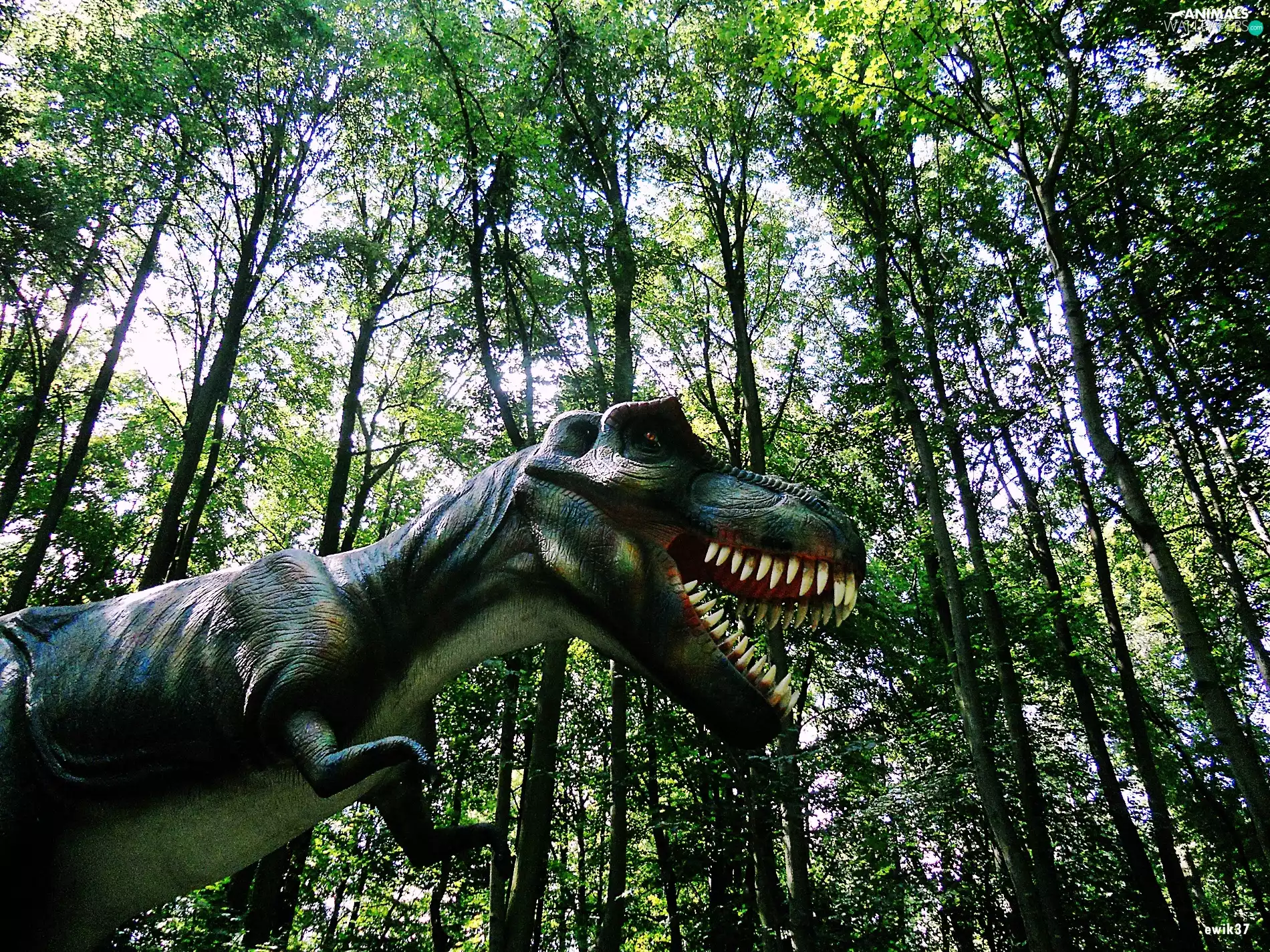 forest, viewes, dinosaur, trees