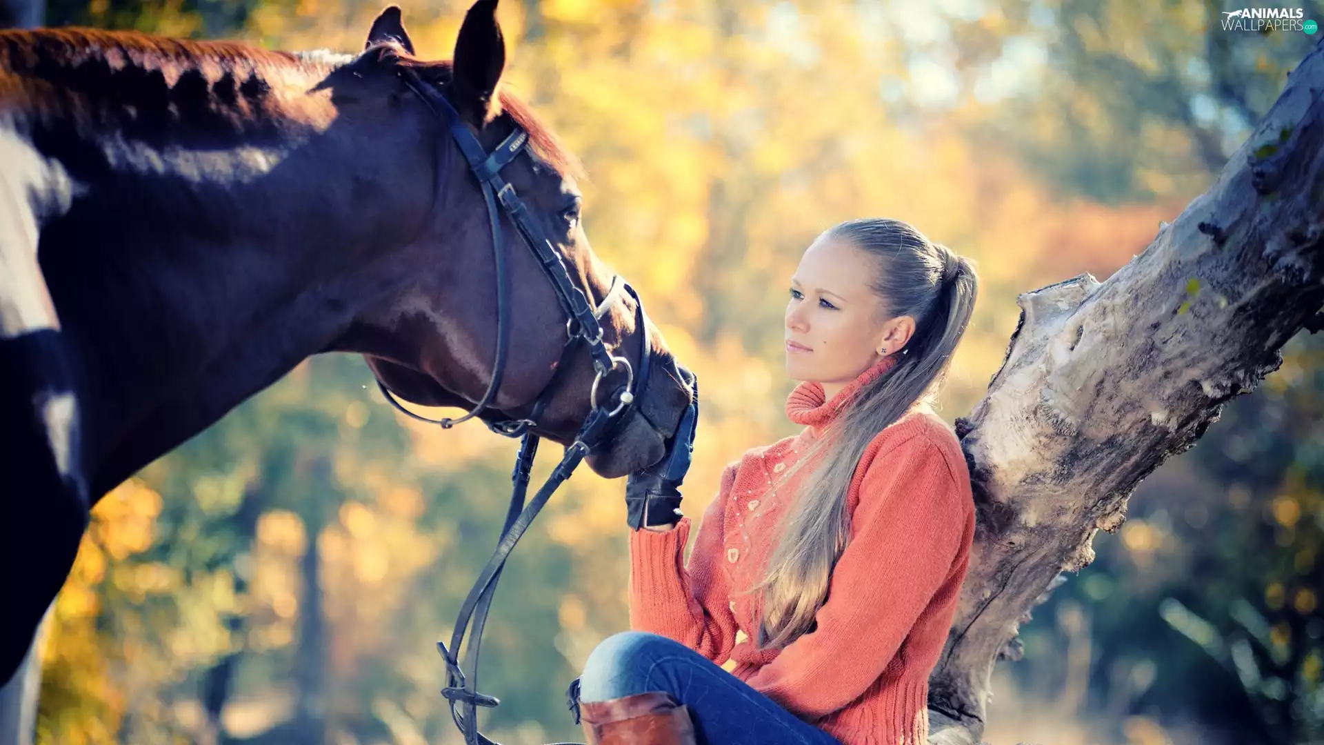 trees, Women, Horse