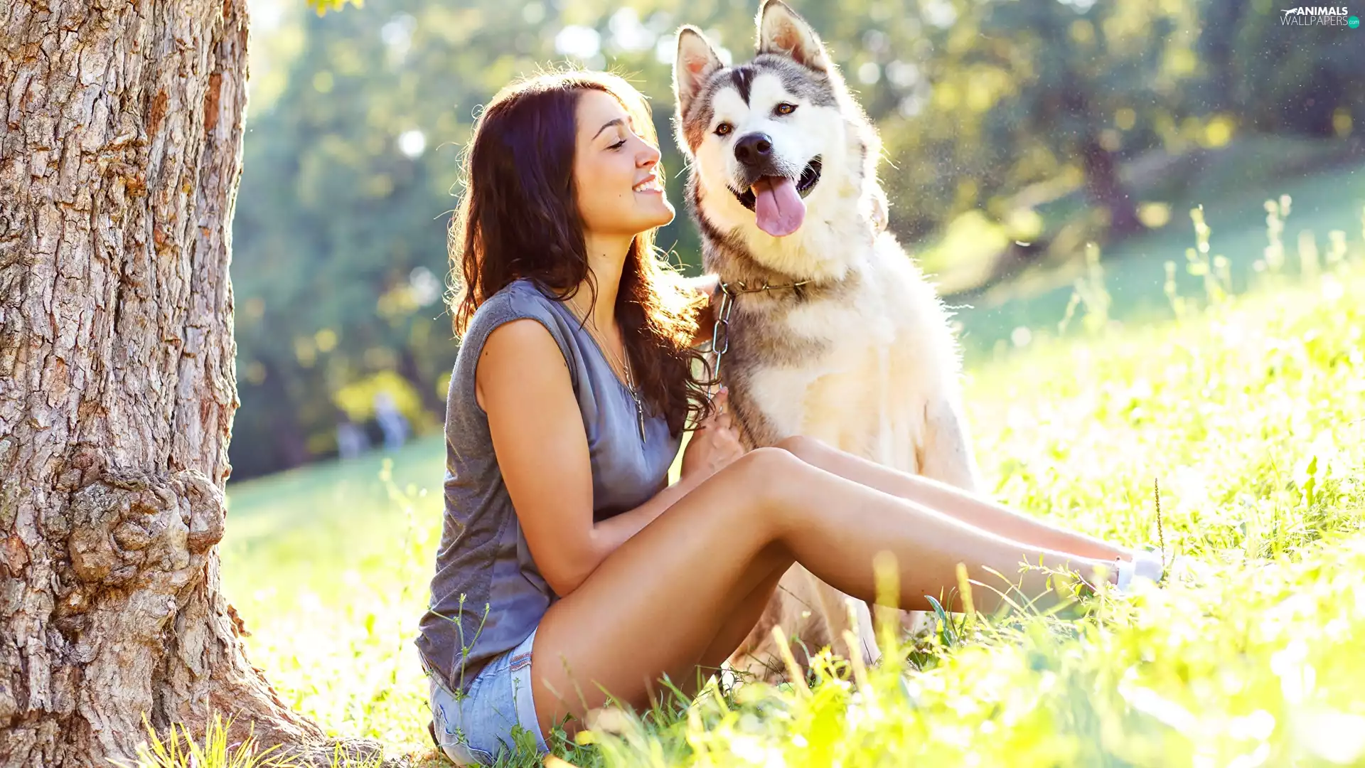 trees, car in the meadow, dog, Siberian Husky, Women
