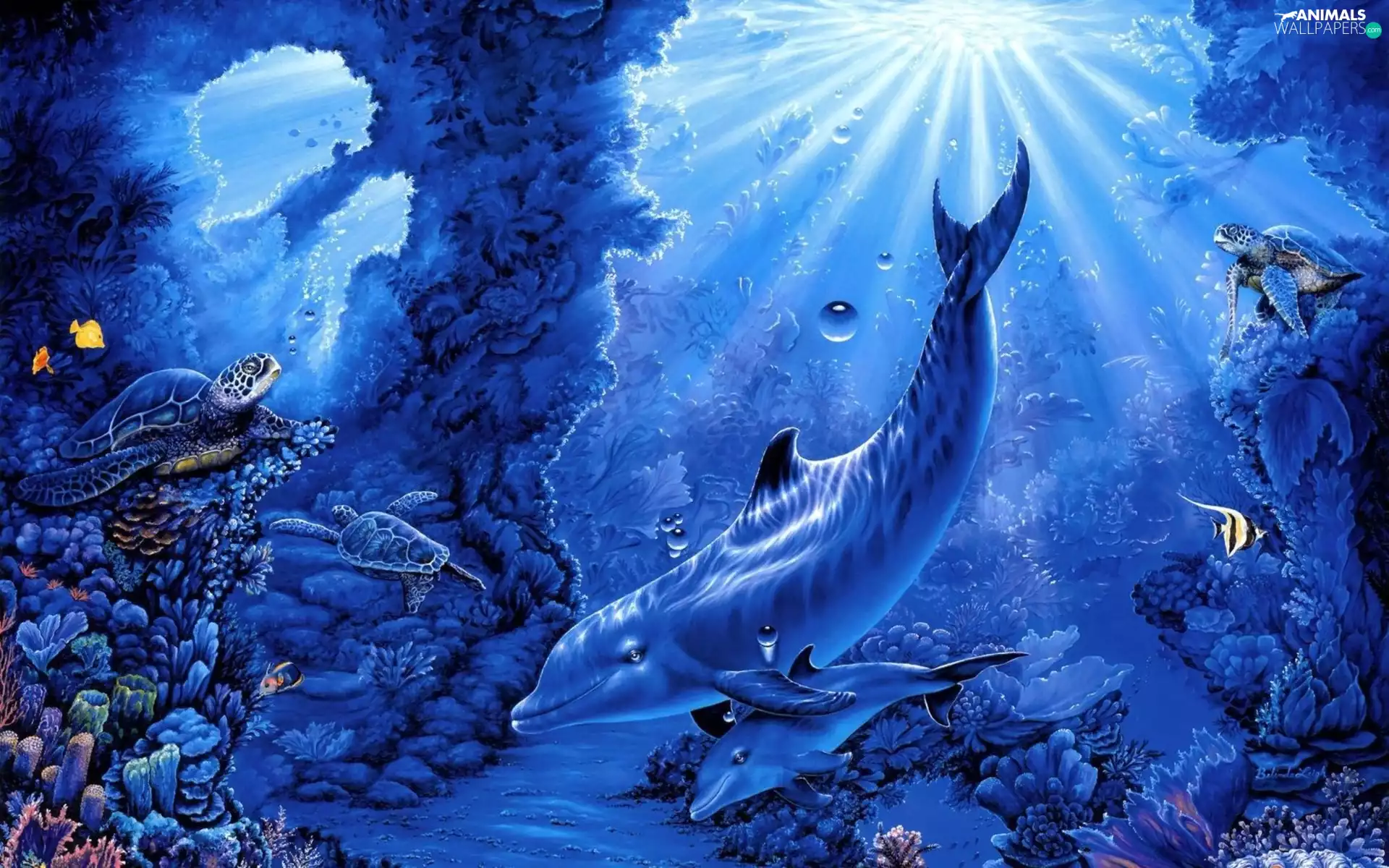 dolphins, bottom, sea, Turtles