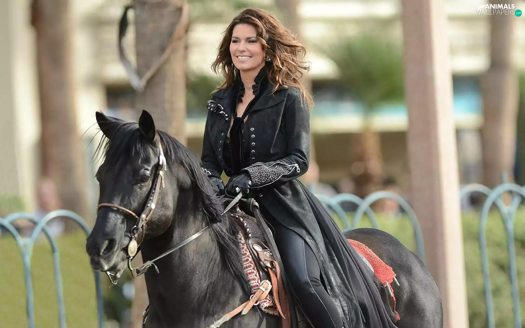 Shania Twain, style, Horse, mode