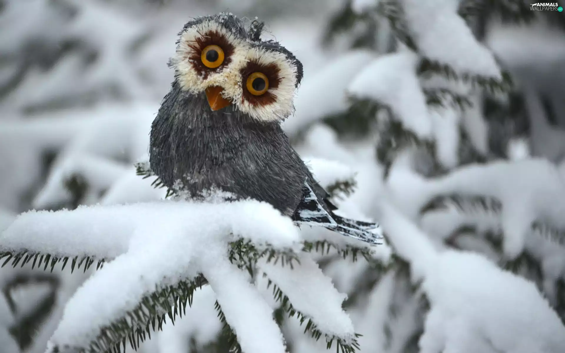 owl, winter, decoration, Twigs