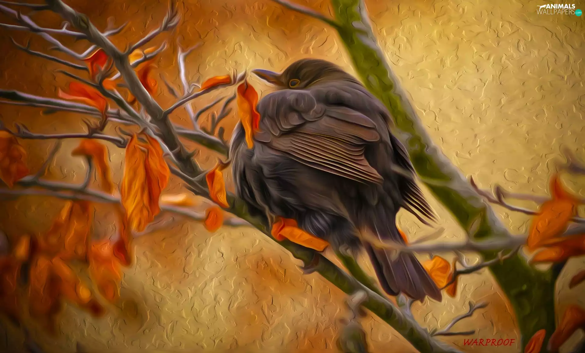 Blackbird, Twigs, Paintography, Bird, graphics