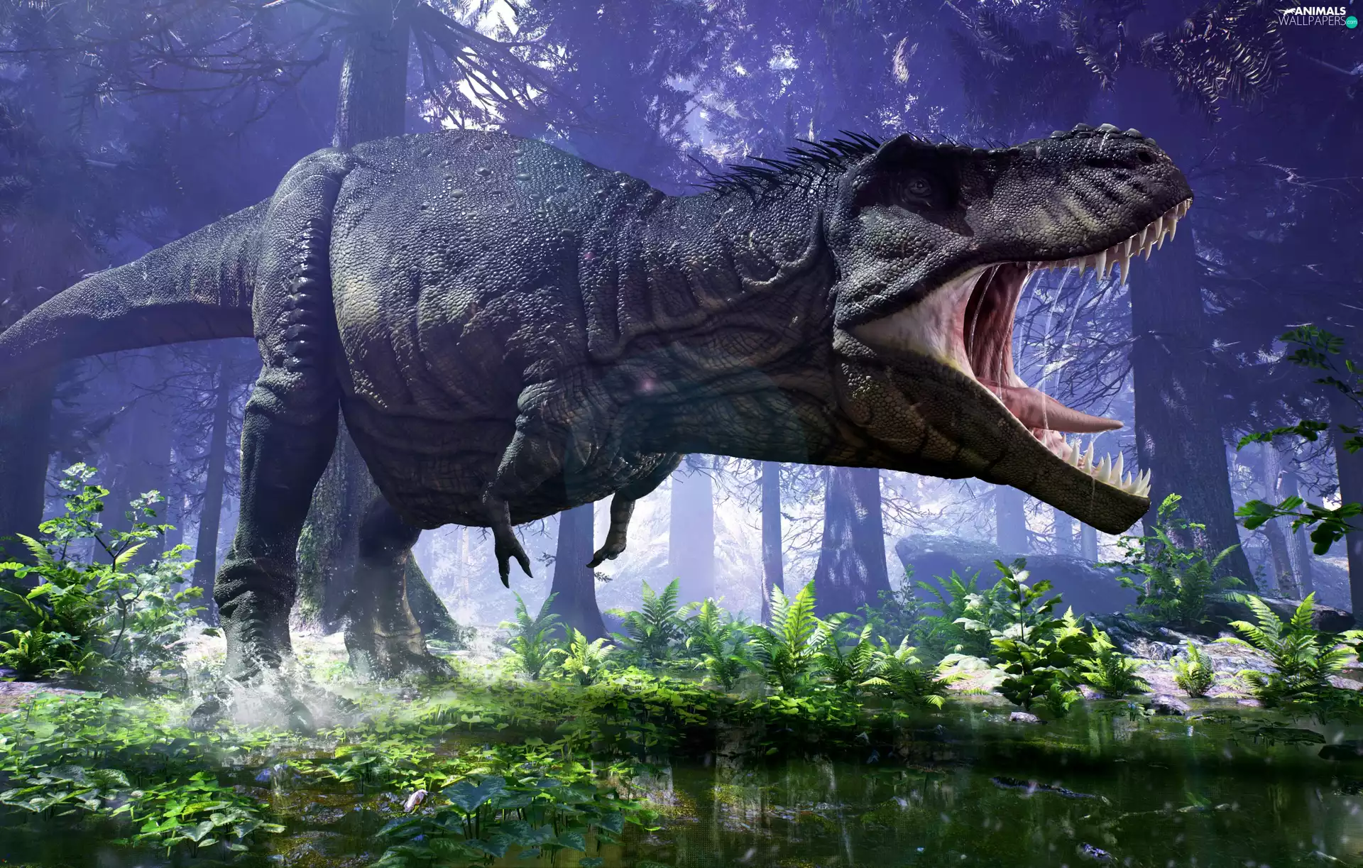 Tyrannosaur, Prehistoric, reptile