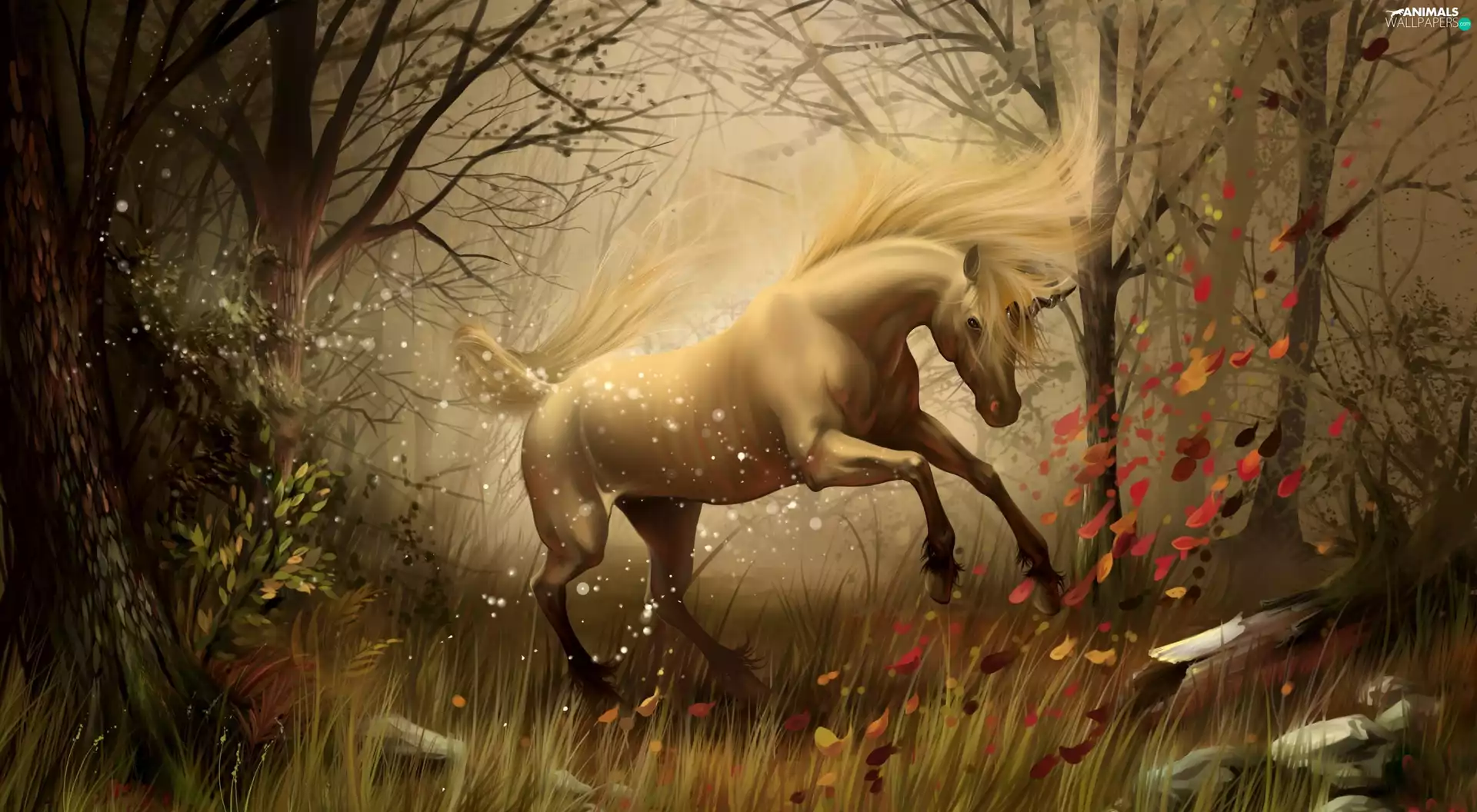 unicorn, forest