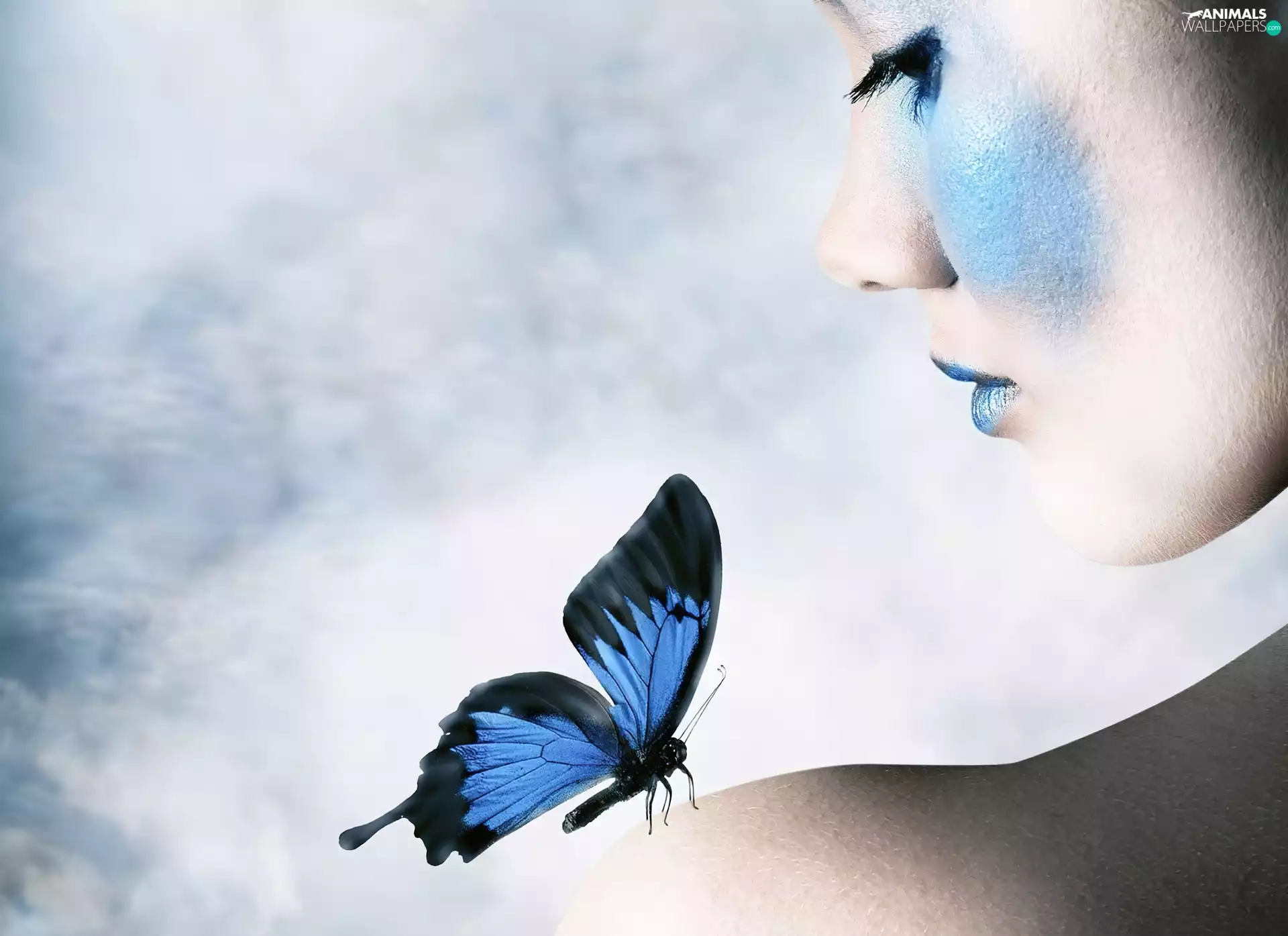 butterfly, Women, make-up