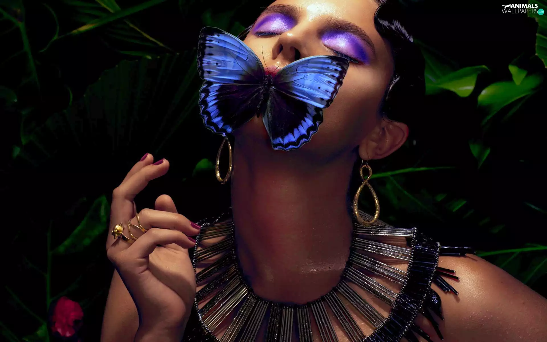butterfly, Women, make-up