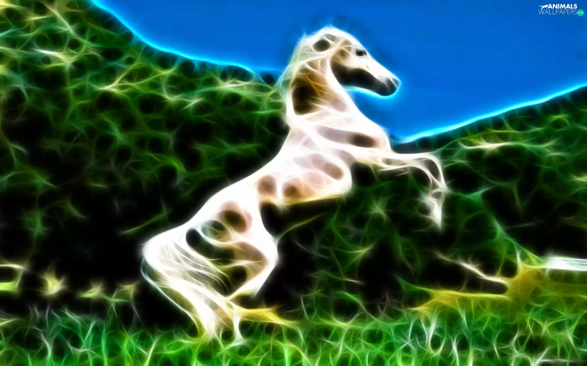 Vectorial, White, Horse