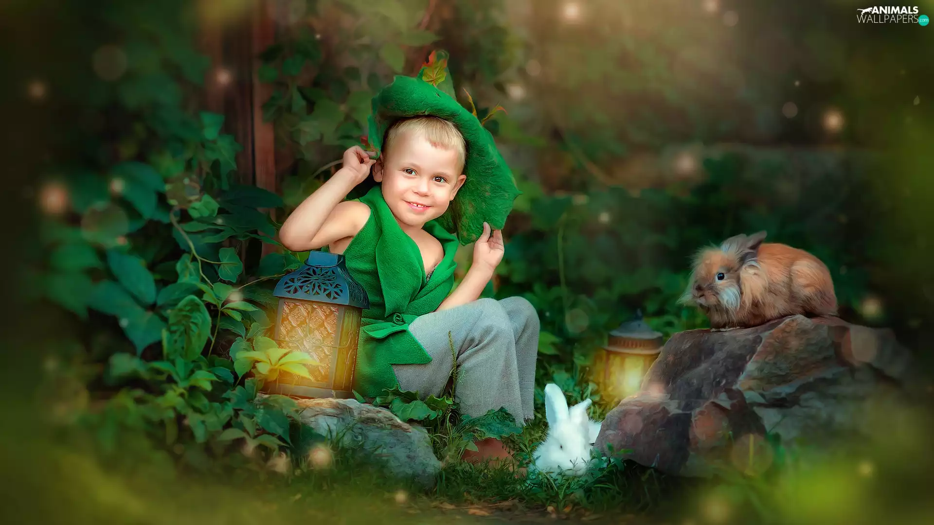 Rabbits, VEGETATION, disguise, Lanterns, boy