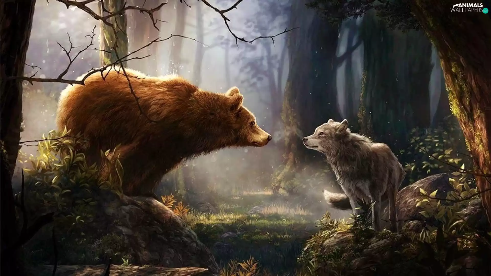 trees, viewes, Bear, forest, Wolf