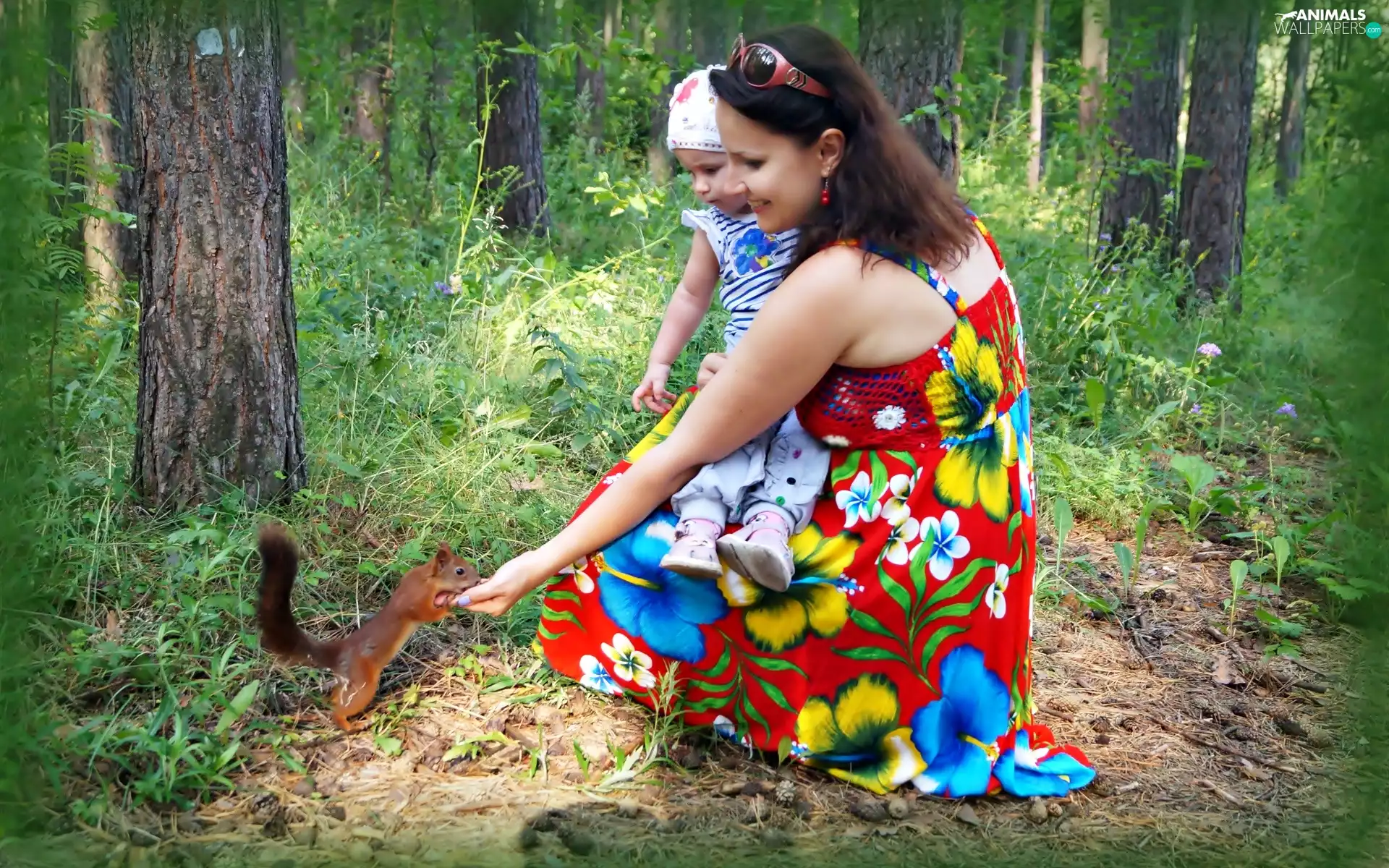 green, trees, Kid, viewes, Park, Women, squirrel