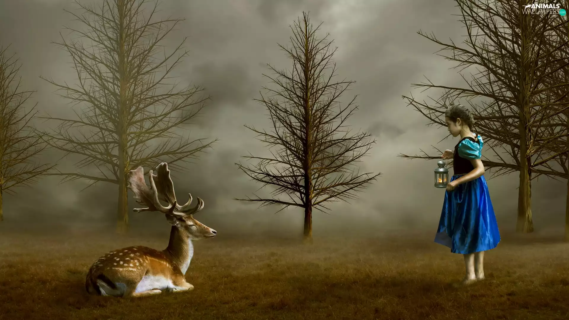 trees, viewes, lantern, deer, girl