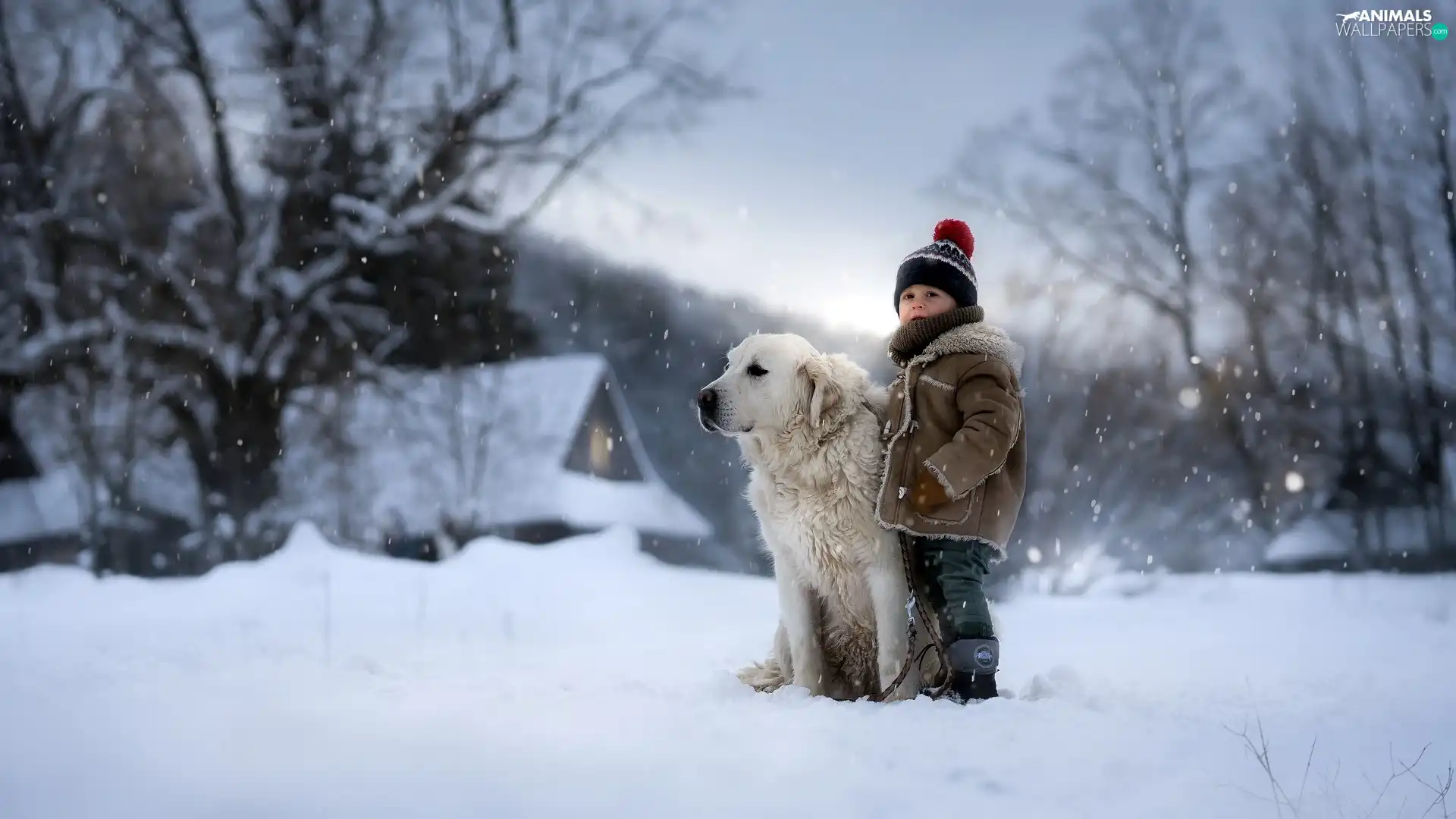 winter, Tatra Sheepdog, trees, Kid, dog, house, viewes