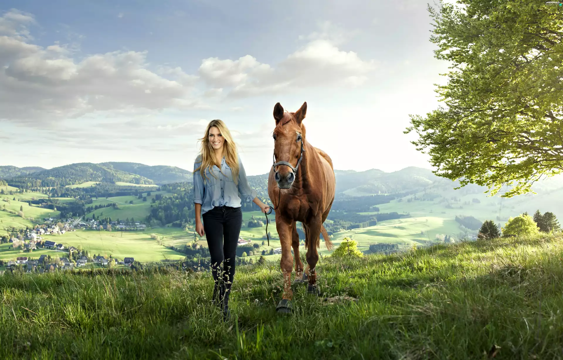 Mountains, village, Horse, Meadow, Women