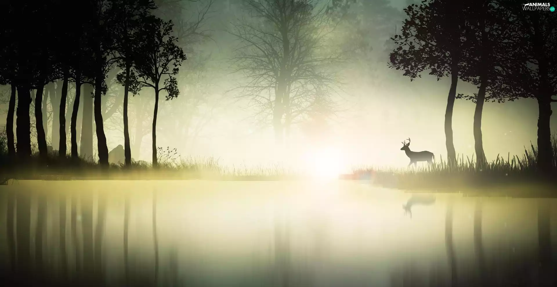 Fog, forest, deer, water