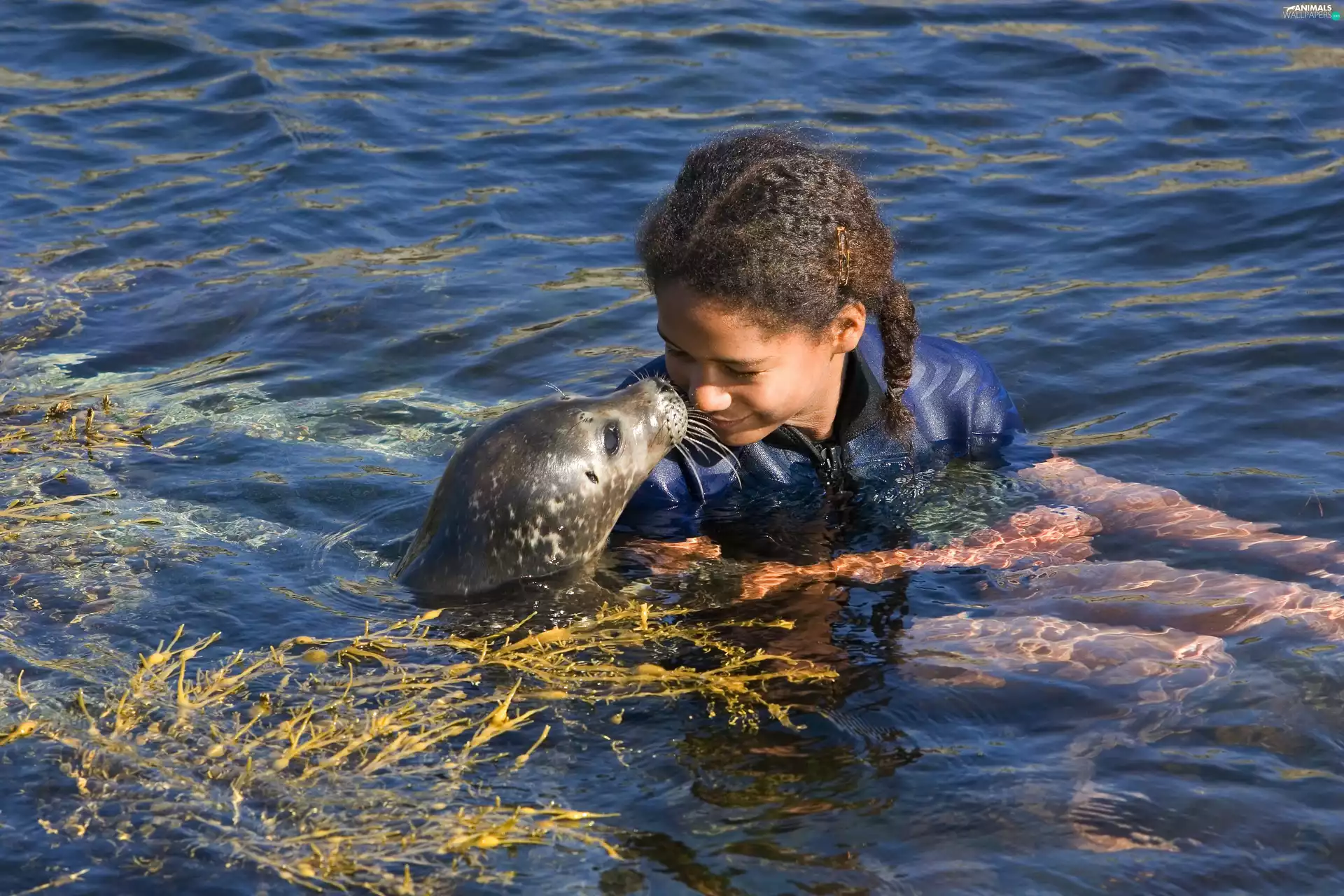 water, girl, seal