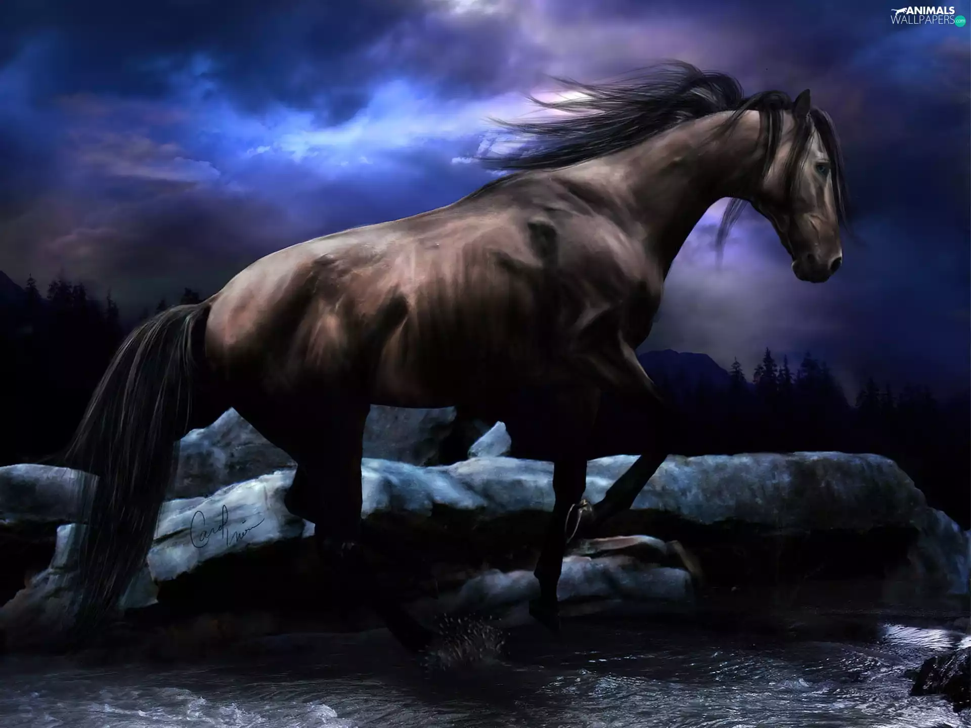 water, Horse, Stones