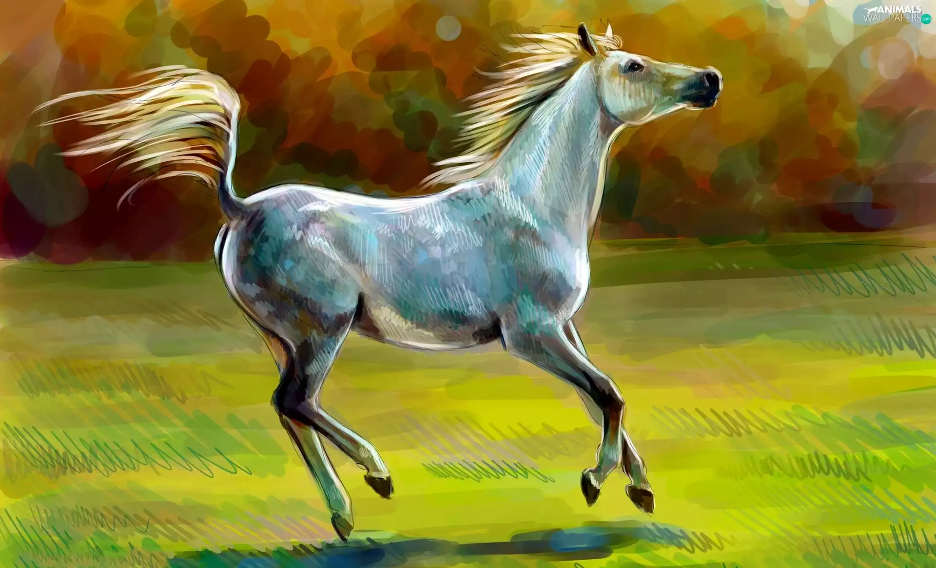 watercolor, Horse, picture