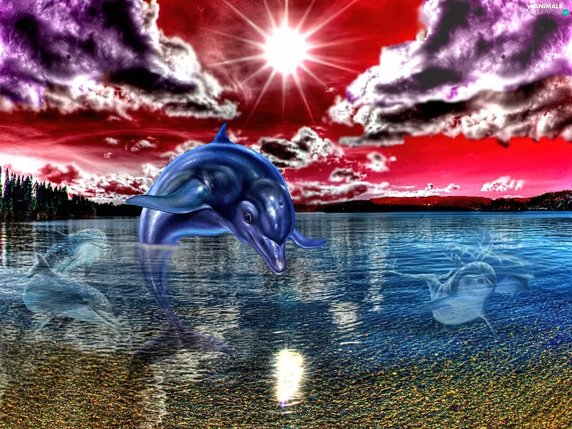 dolphin, sun, Art, west
