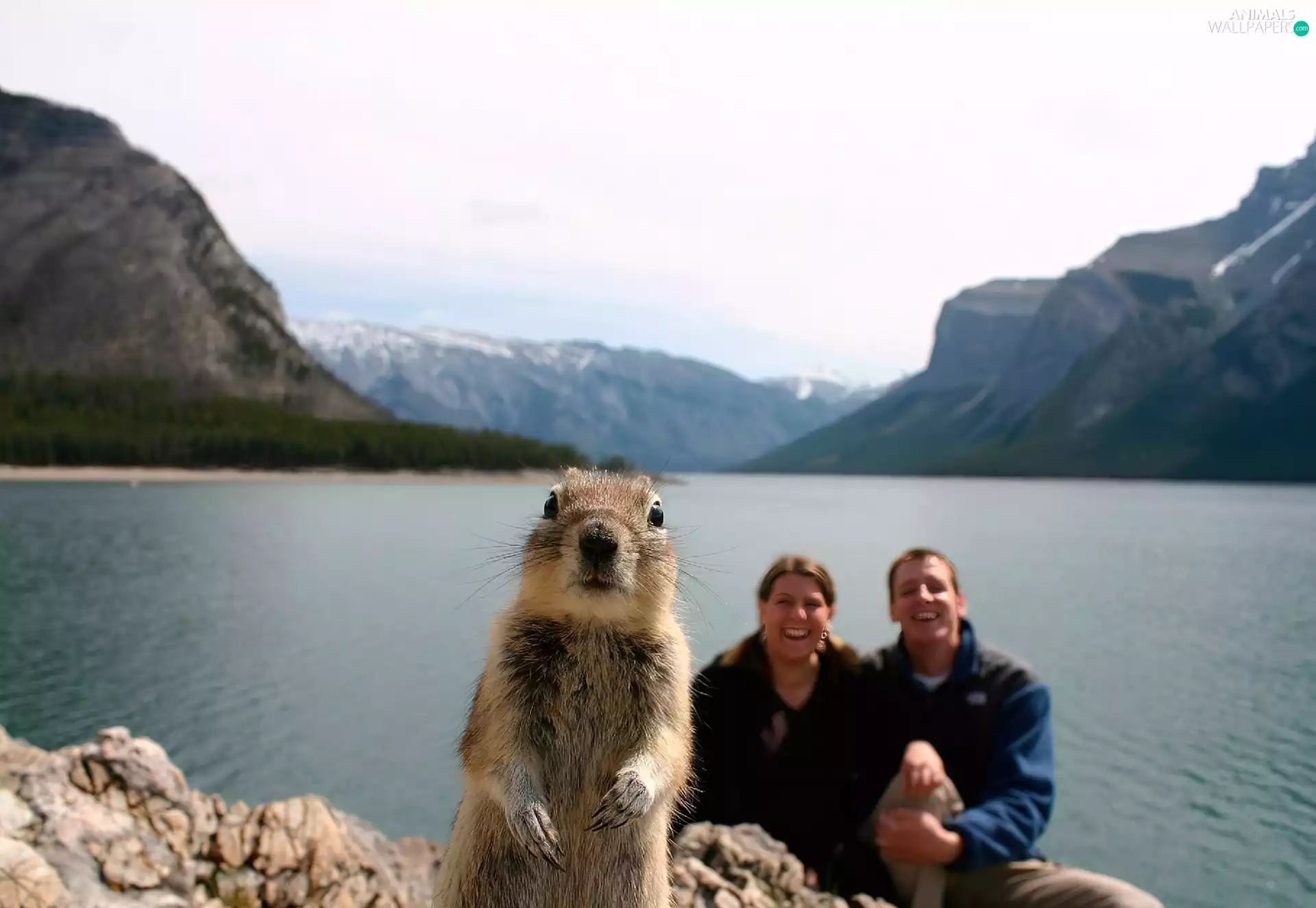 whistler, Mountains, lake