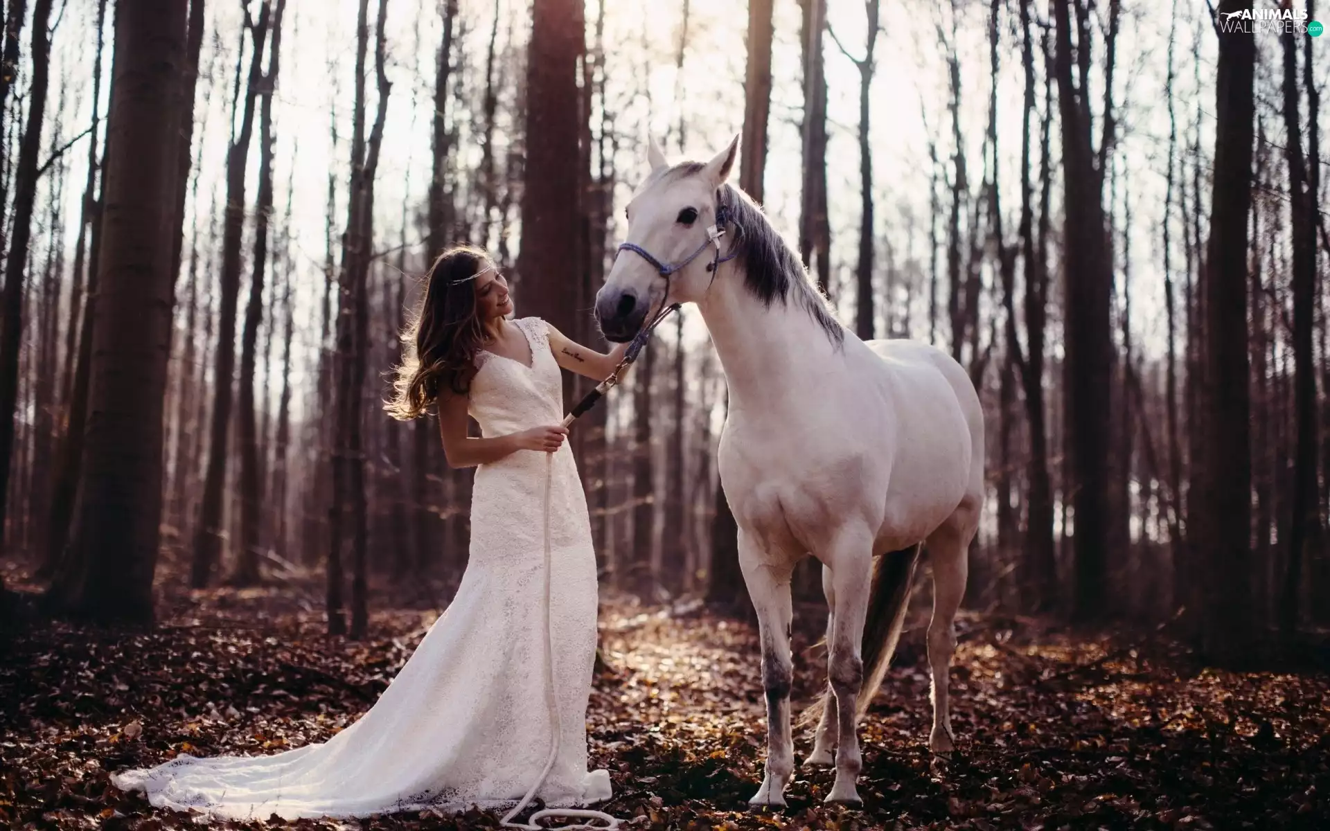 dress, ##, forest, white, Women, Horse, Leaf