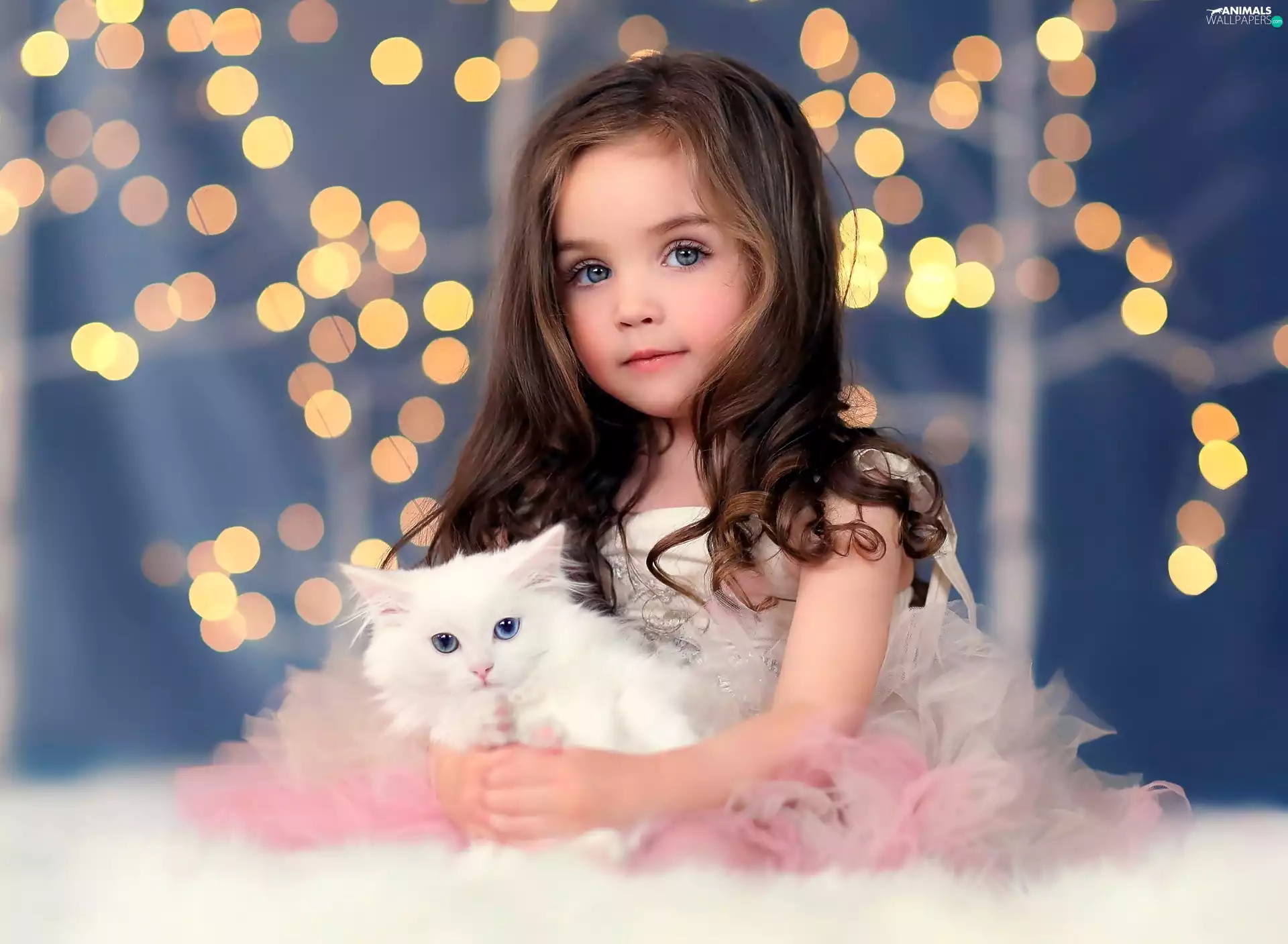 girl, kitten, glamour, White