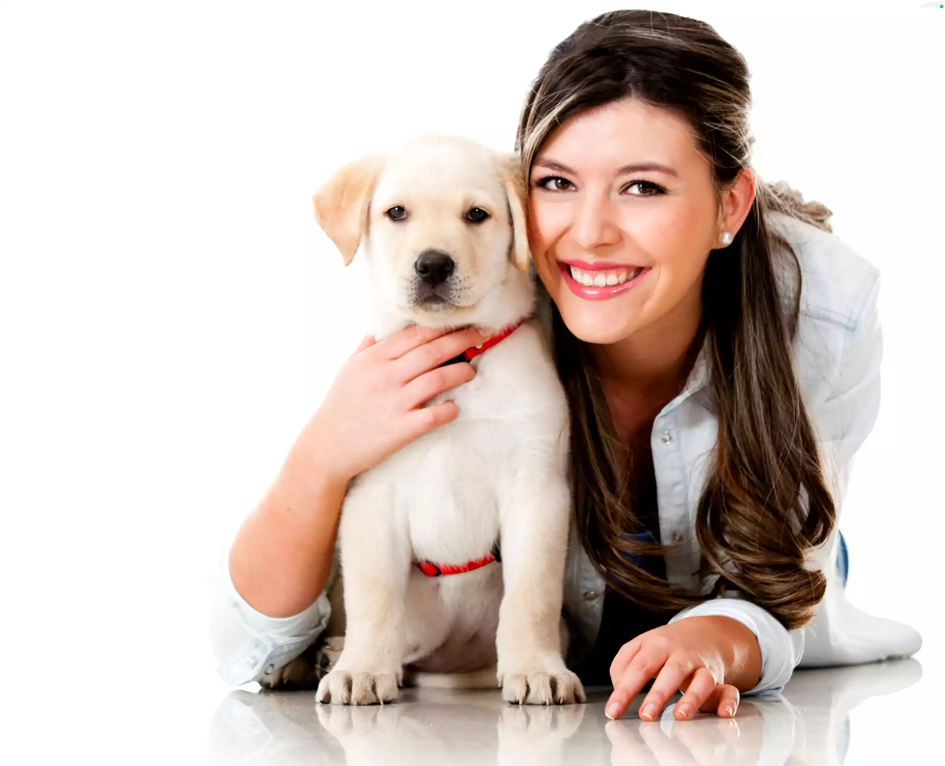 Women, White, Golden Retriever, brunette