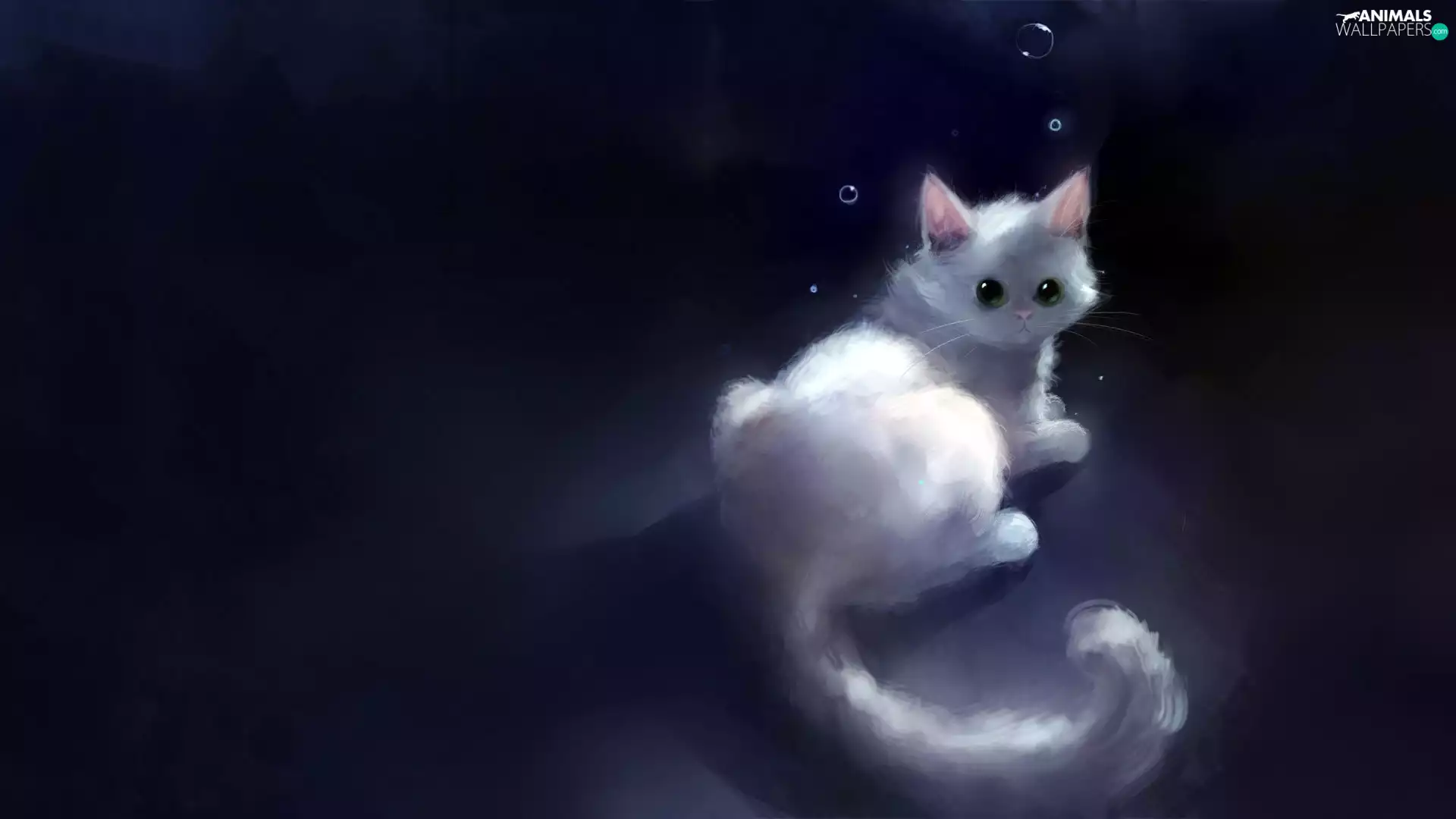 honeyed, kitten, Drawing, White