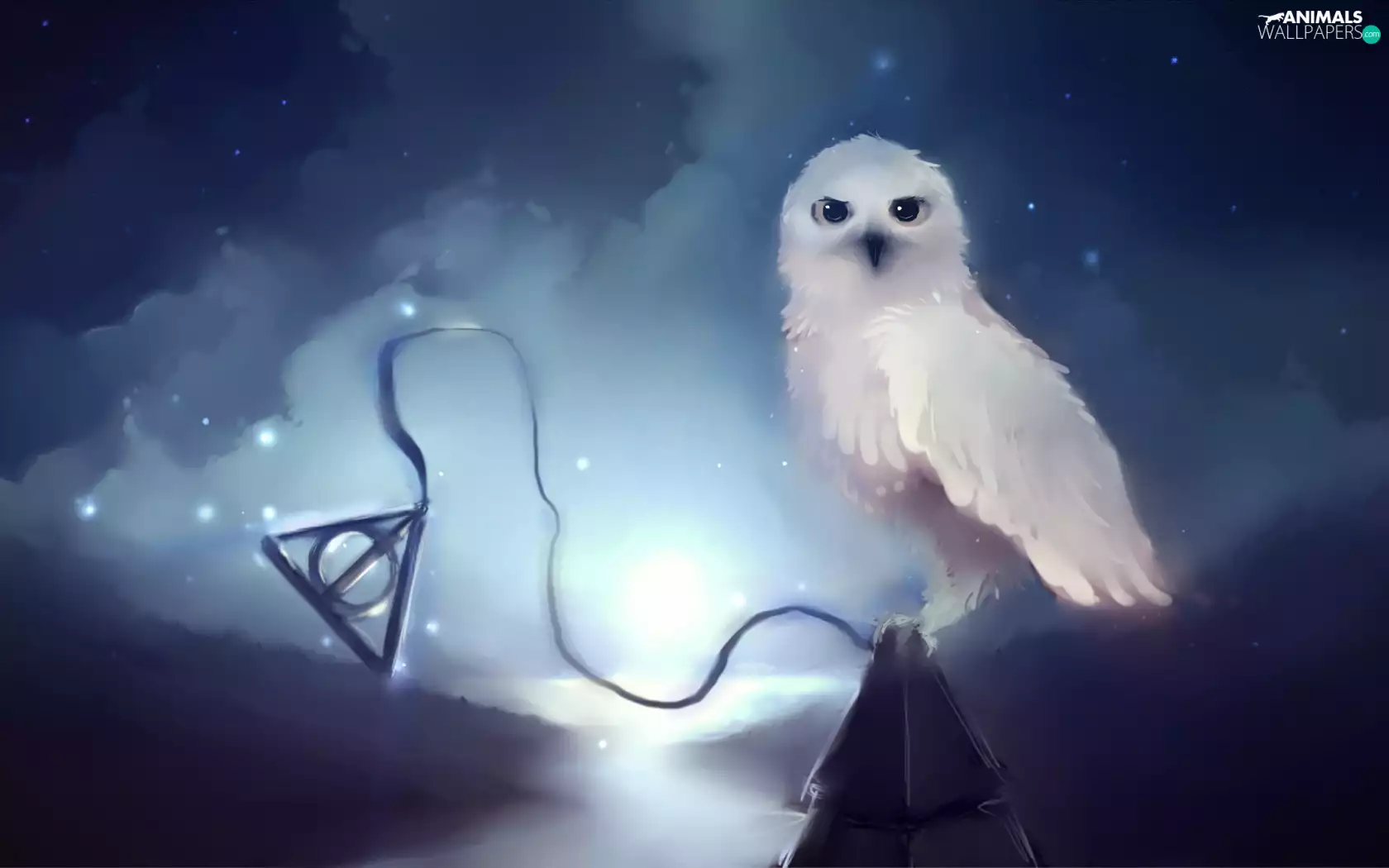 White, owl