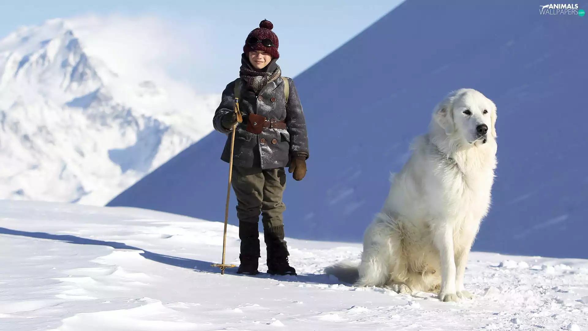 Kid, Félix Bossuet, winter, Pyrenean Mountain Dog, Alps, Belle and Sebastian, movie, Mountains
