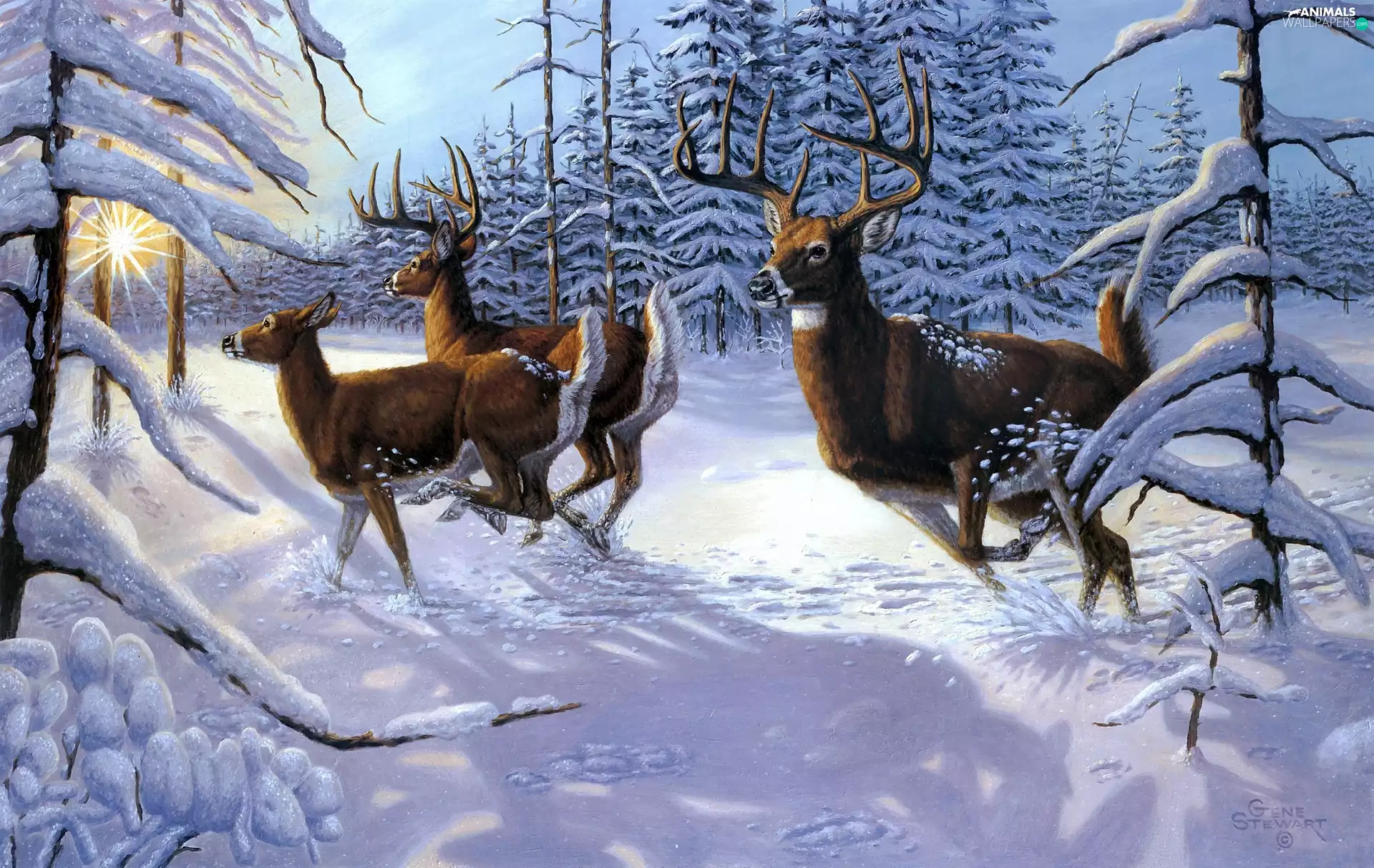 winter, Deer, forest
