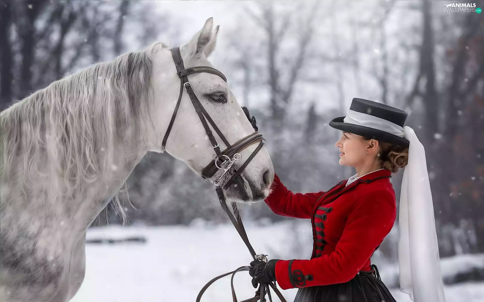 Horse, Women, snow, winter, forest, Hat