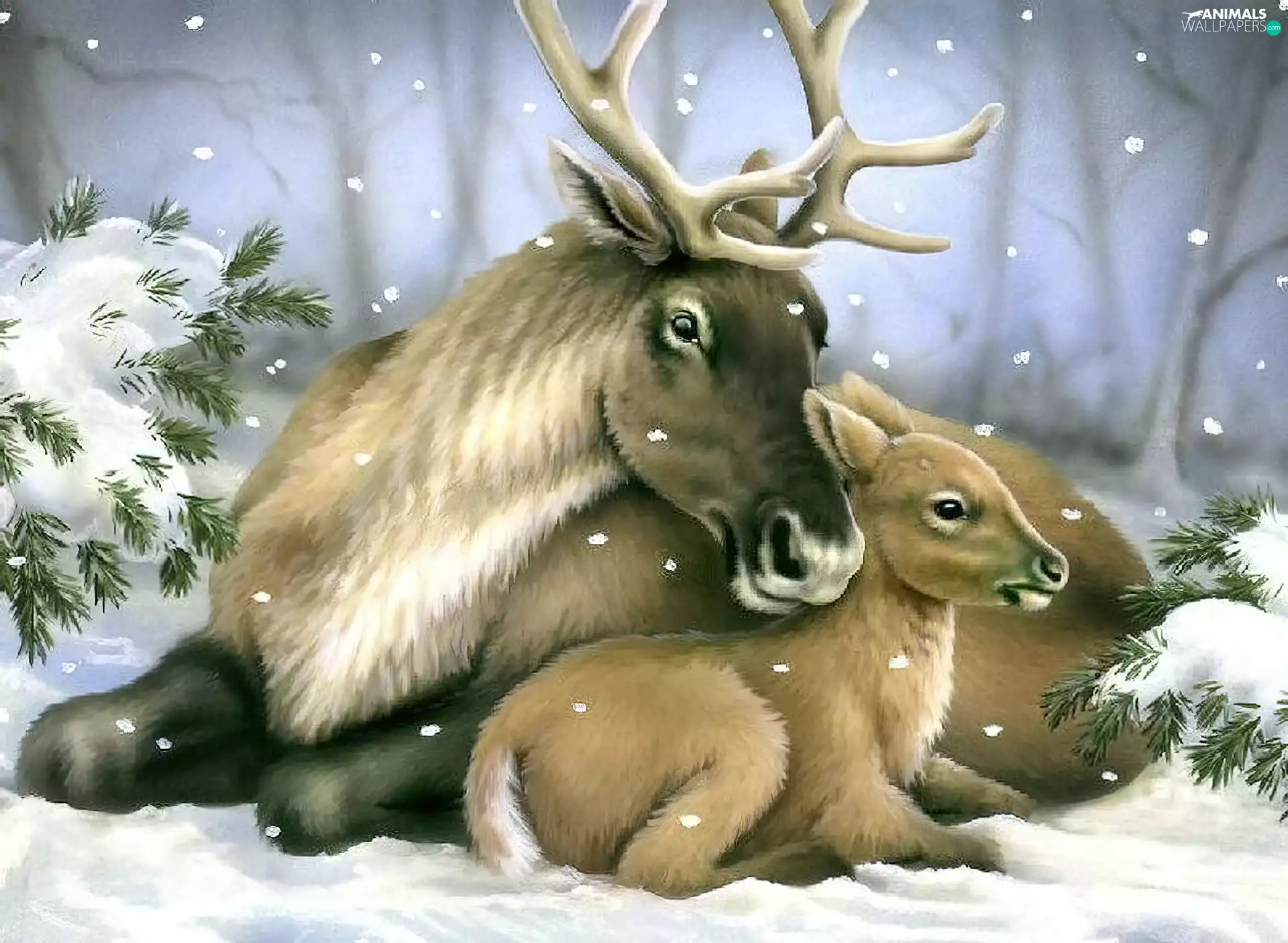 winter, deer, Spruces