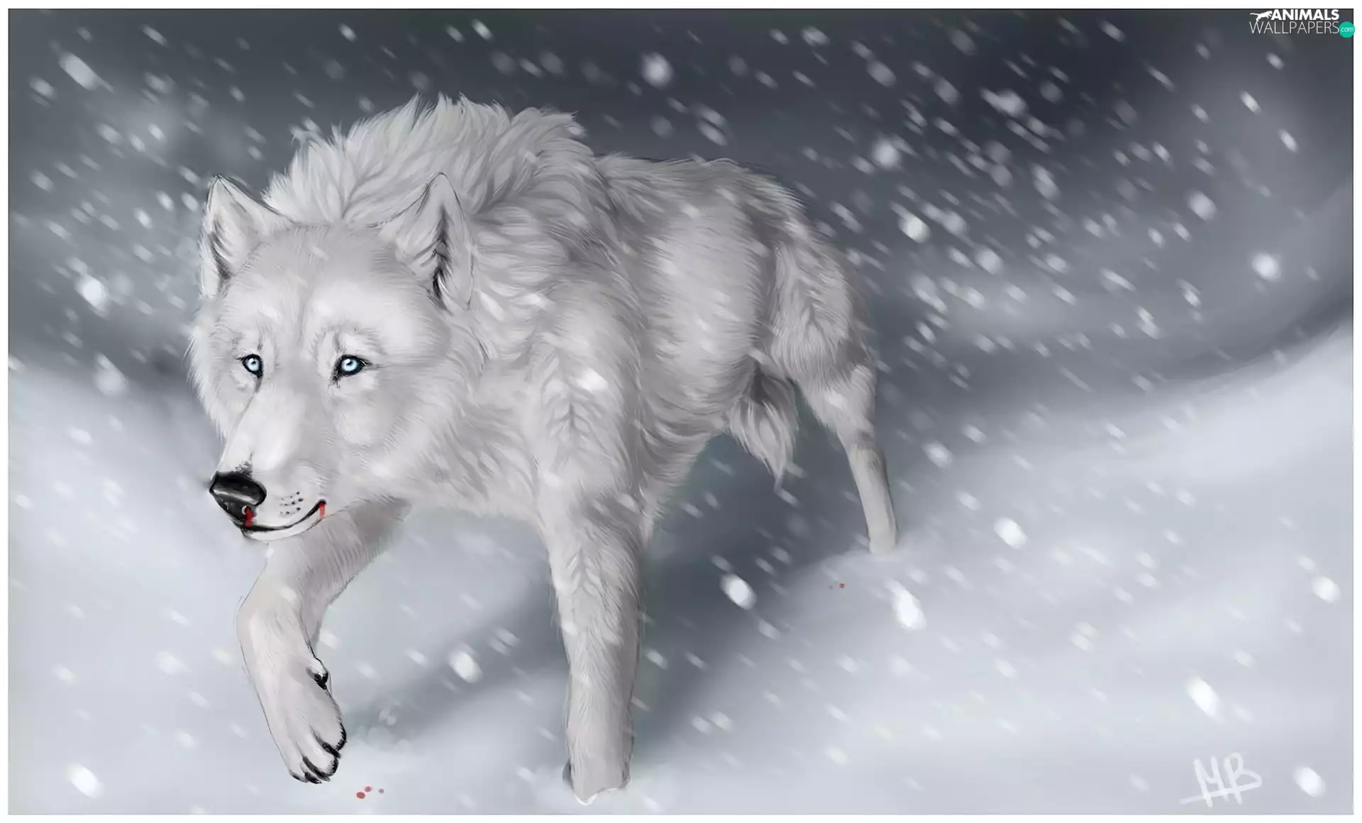 winter, White, Wolf