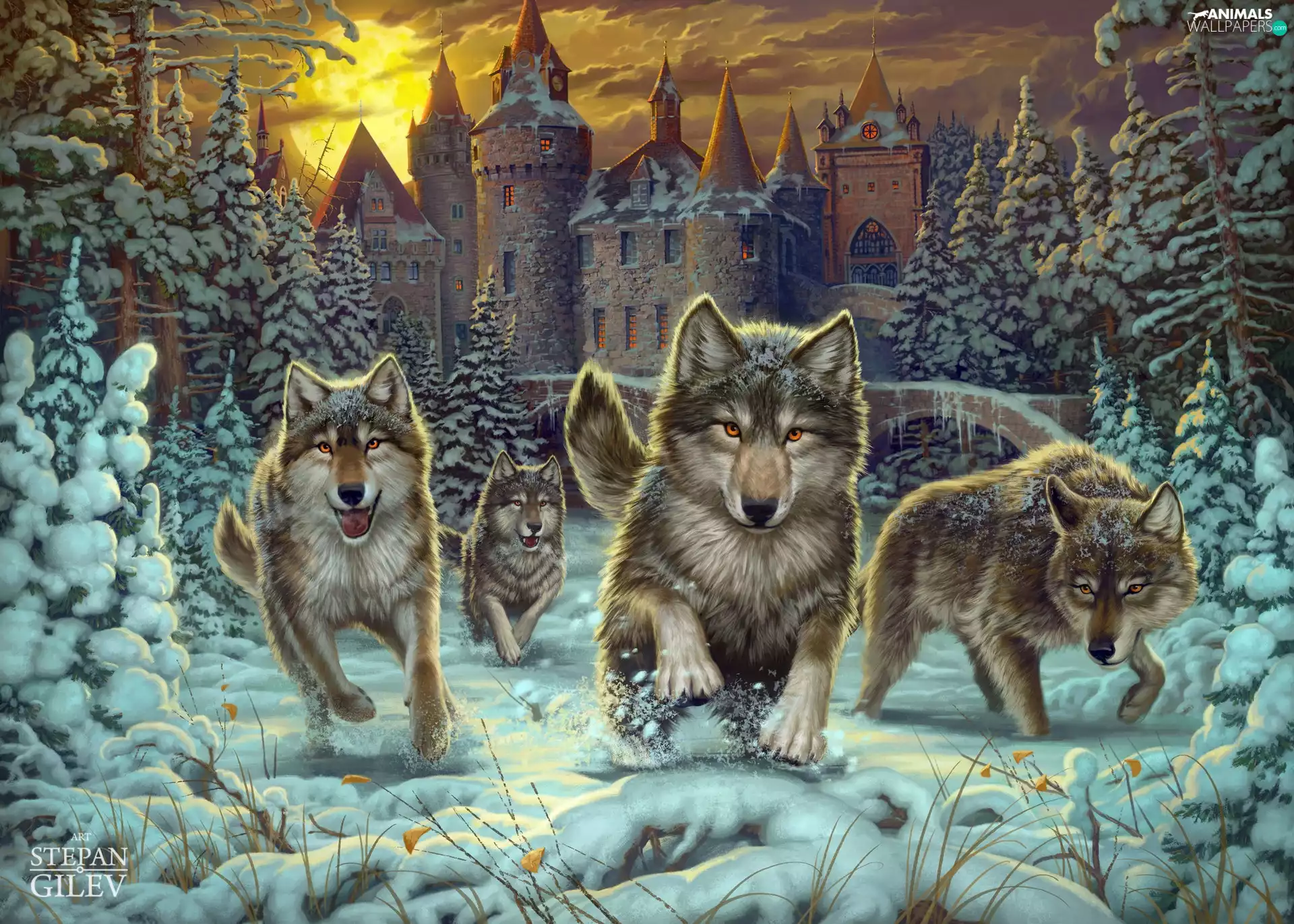 wolves, forest, Castle, winter