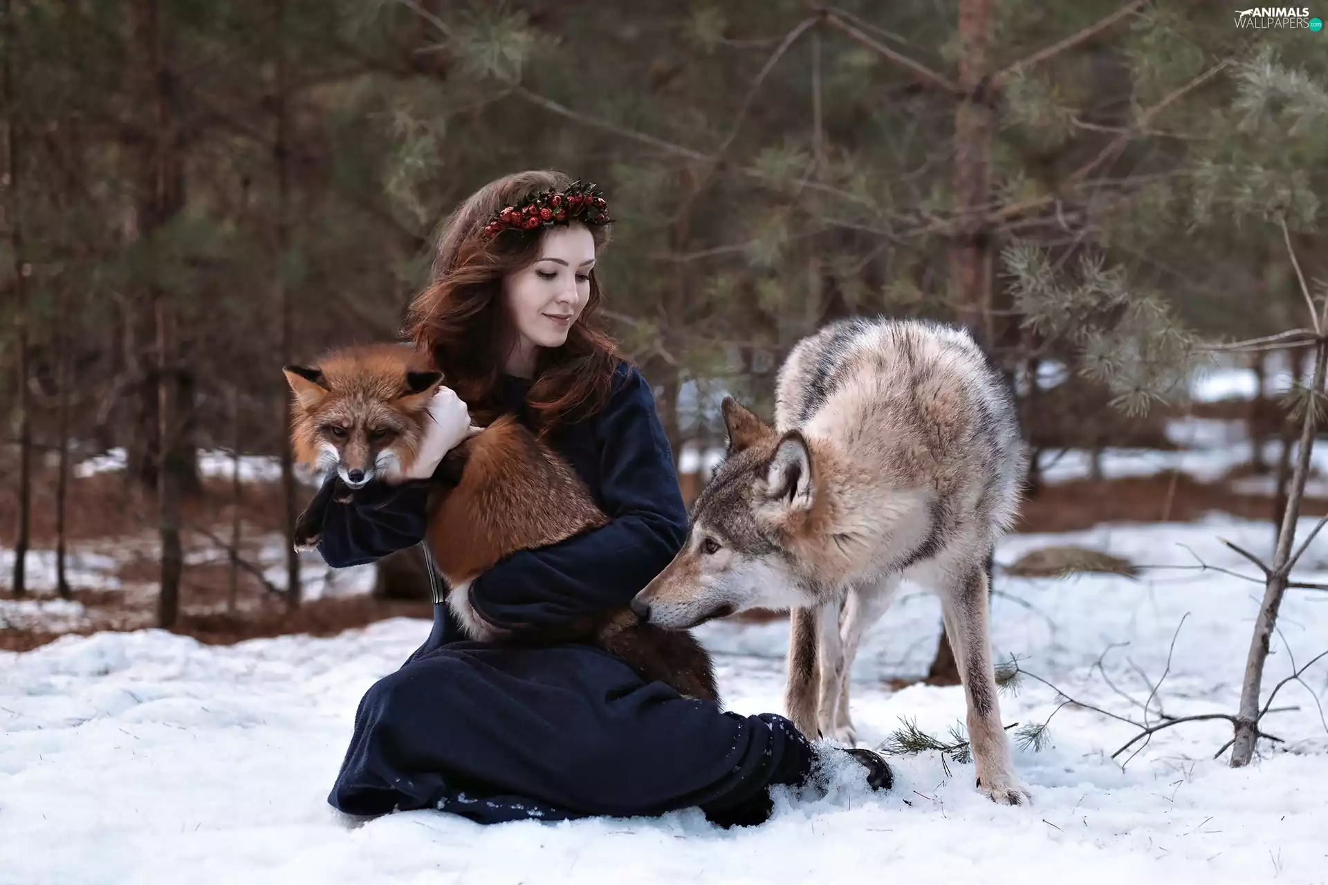 Wolf, winter, wreath, Fox, Women