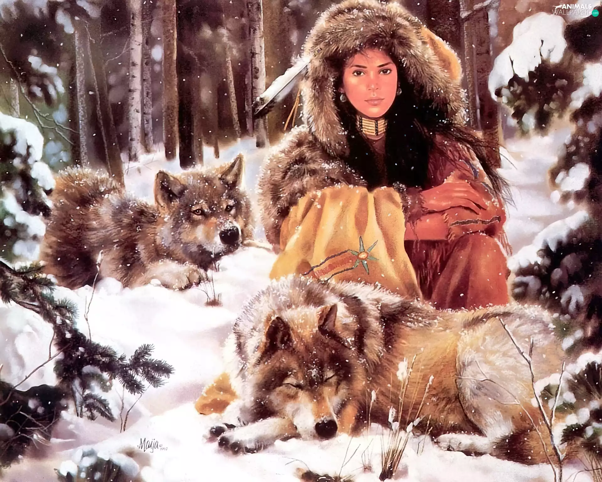 wolves, winter, young, Indian, girl