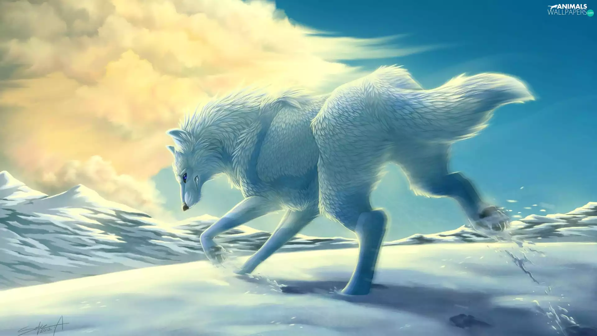 White, Mountains, Cloud, Wolf, snow, winter, gear